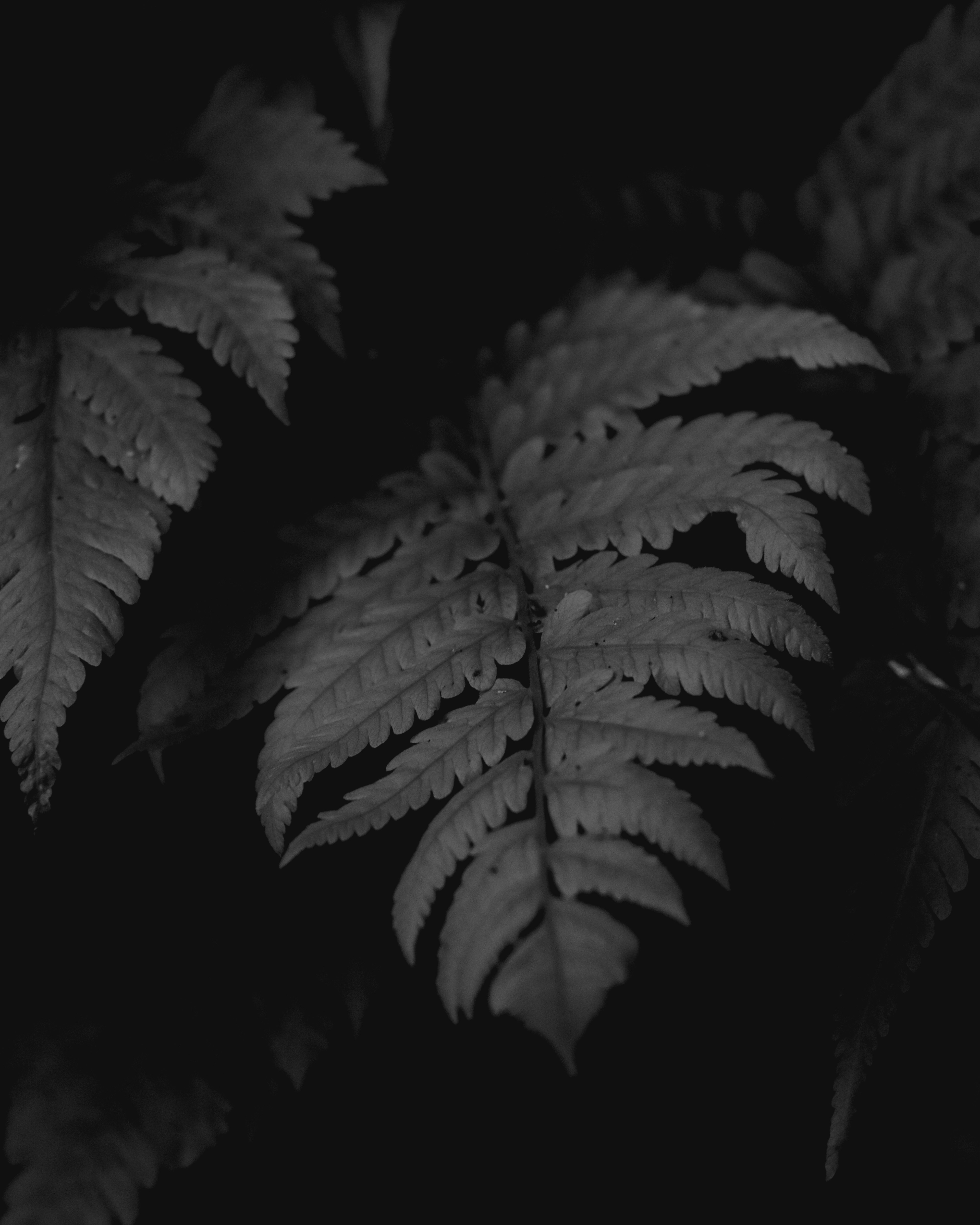 Photo by malik_malachi_hassanali