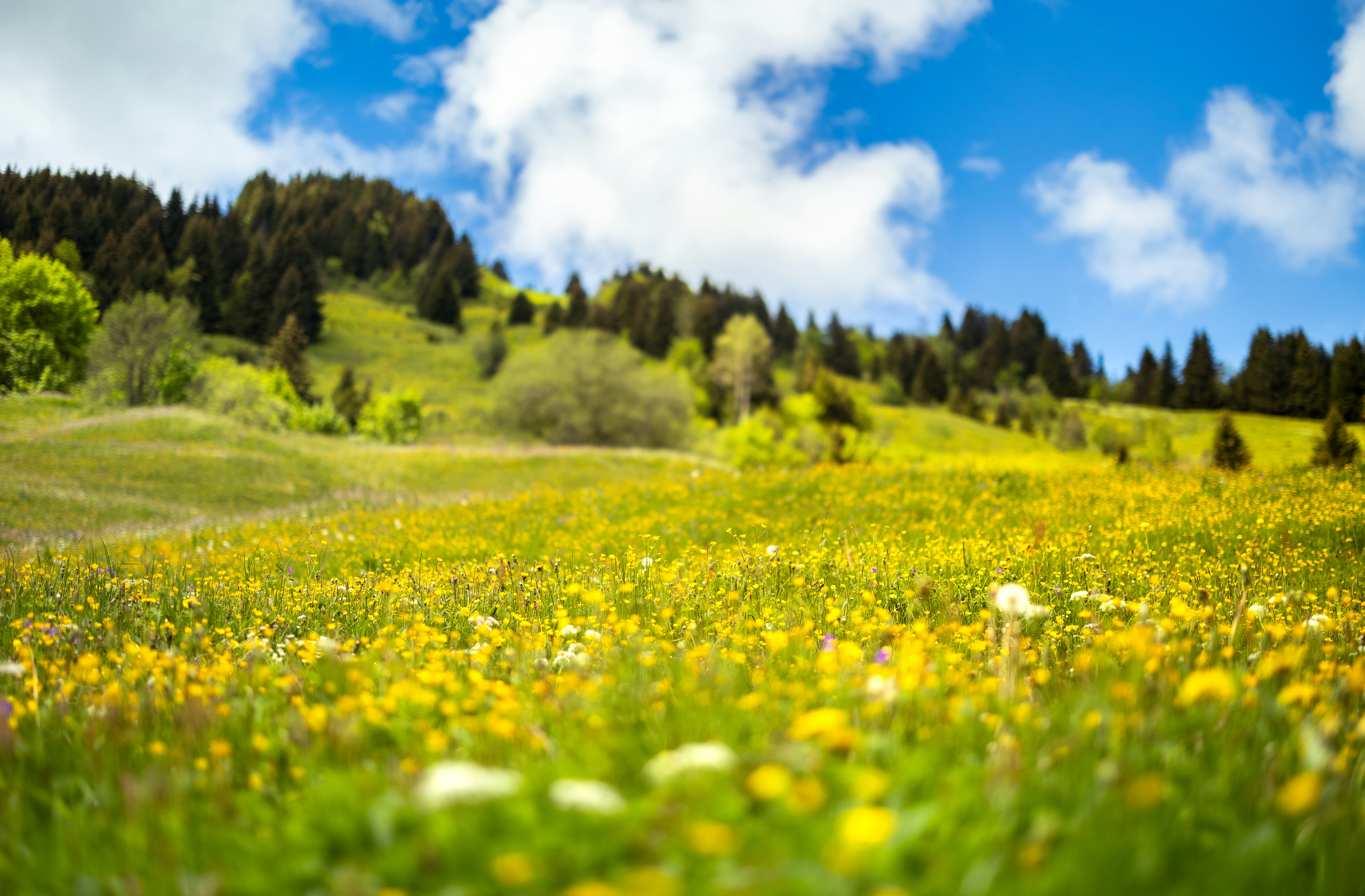 Photo by marekpiwnicki