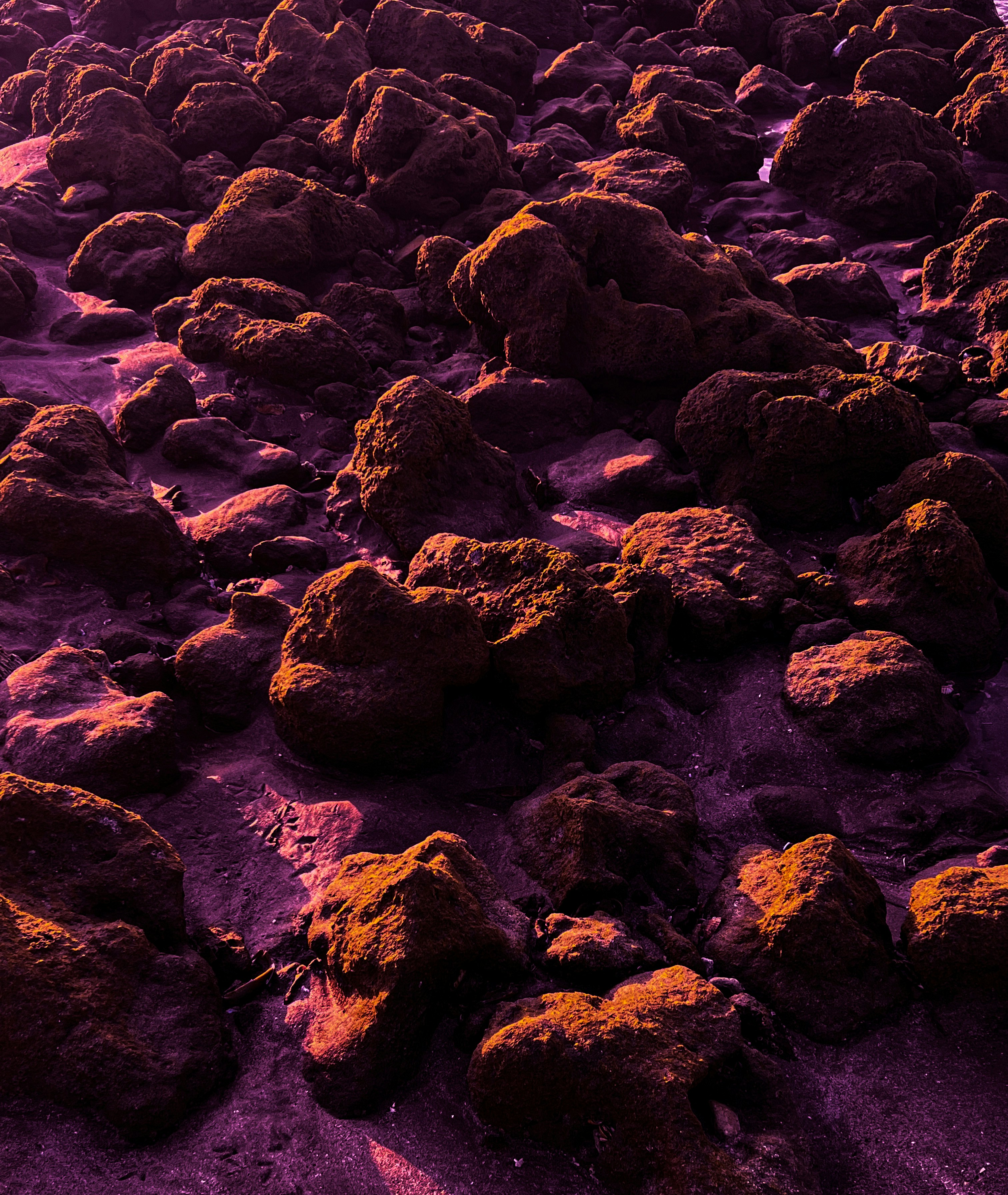 A beach covered in lots of rocks covered in dirt photo – Free Sea Image ...