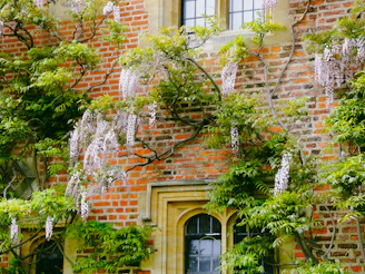 A brick building with lots of green plants growing on it