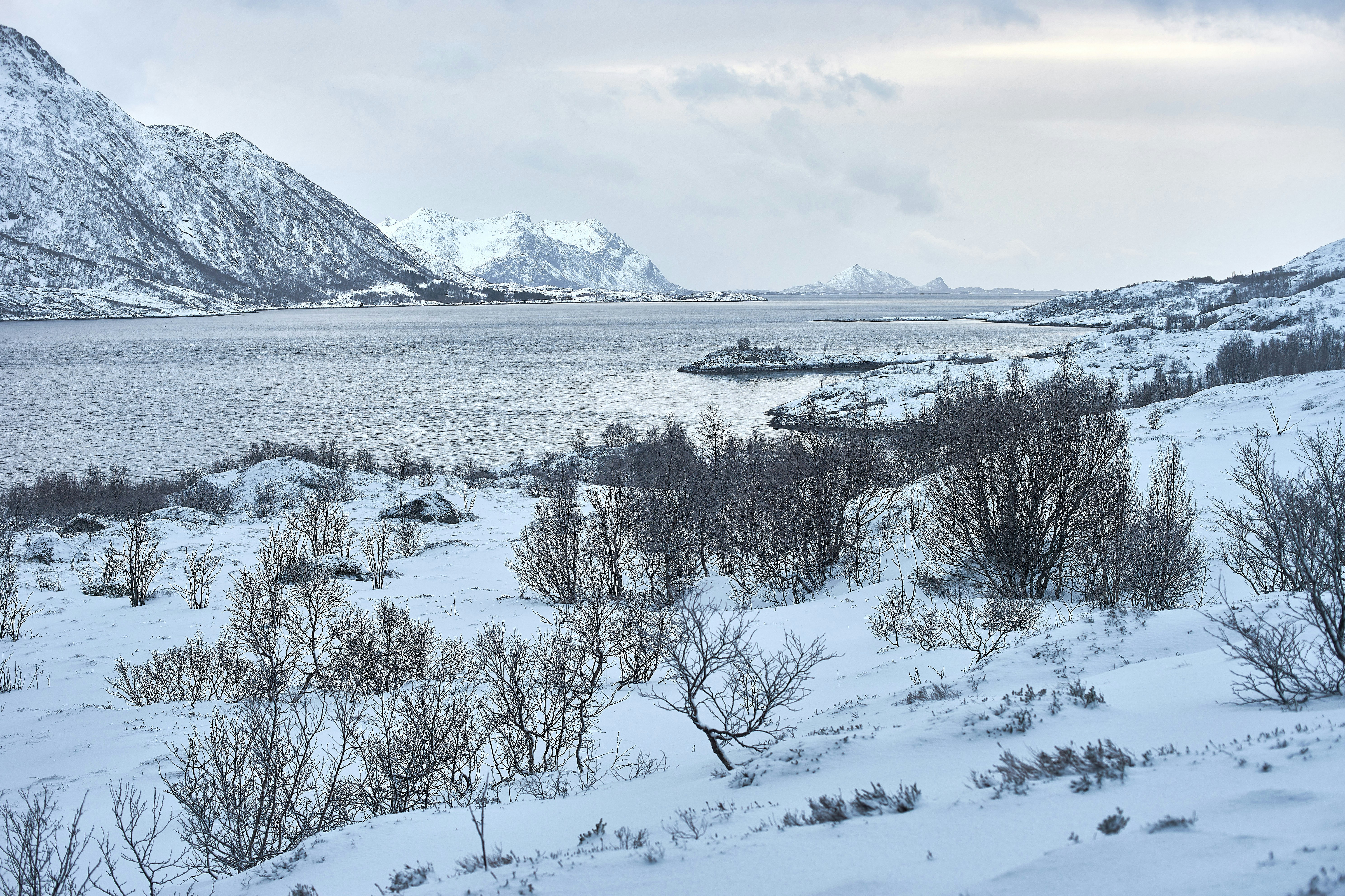 Photo by wolfgang_hasselmann