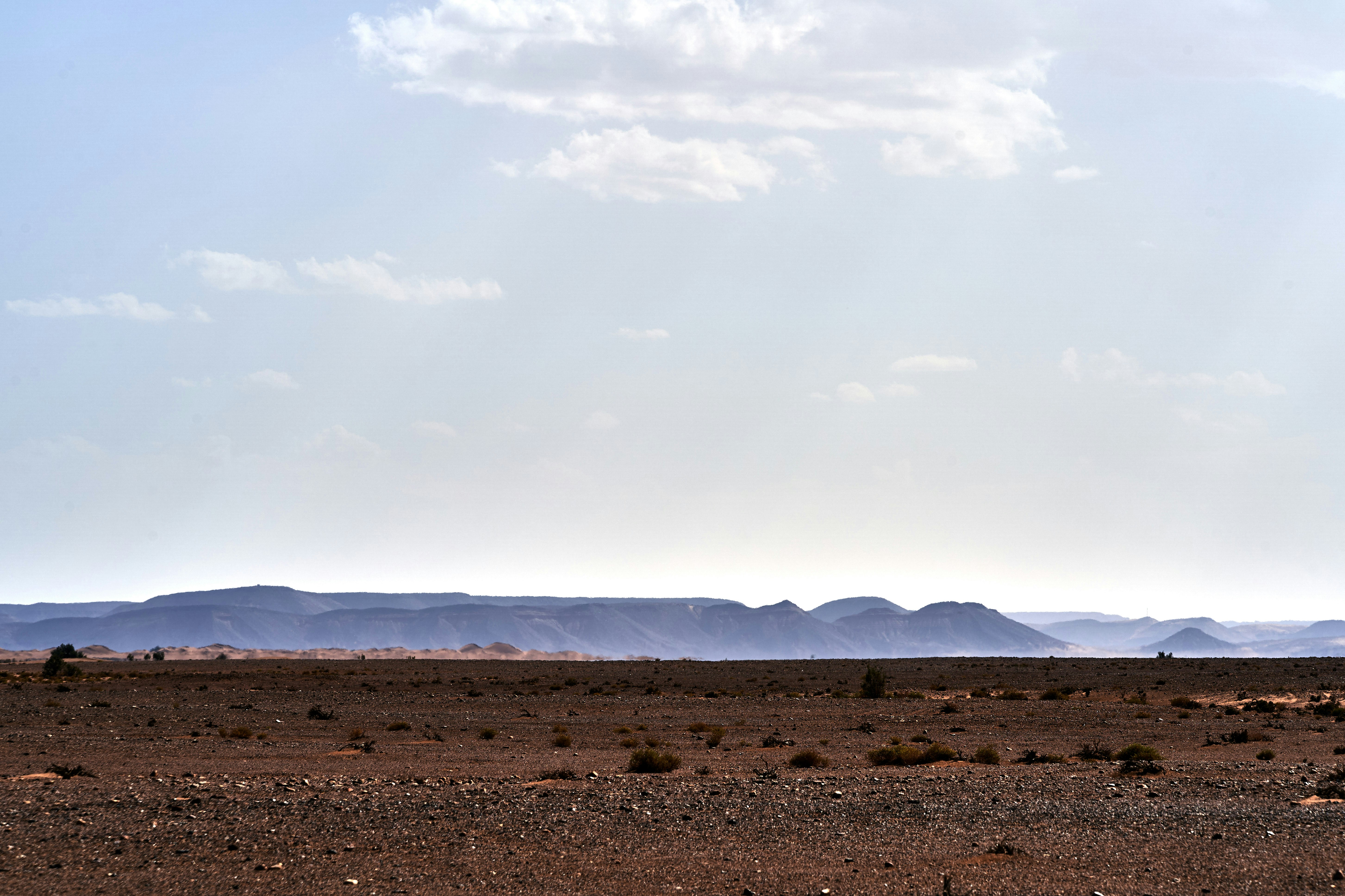 Photo by wolfgang_hasselmann