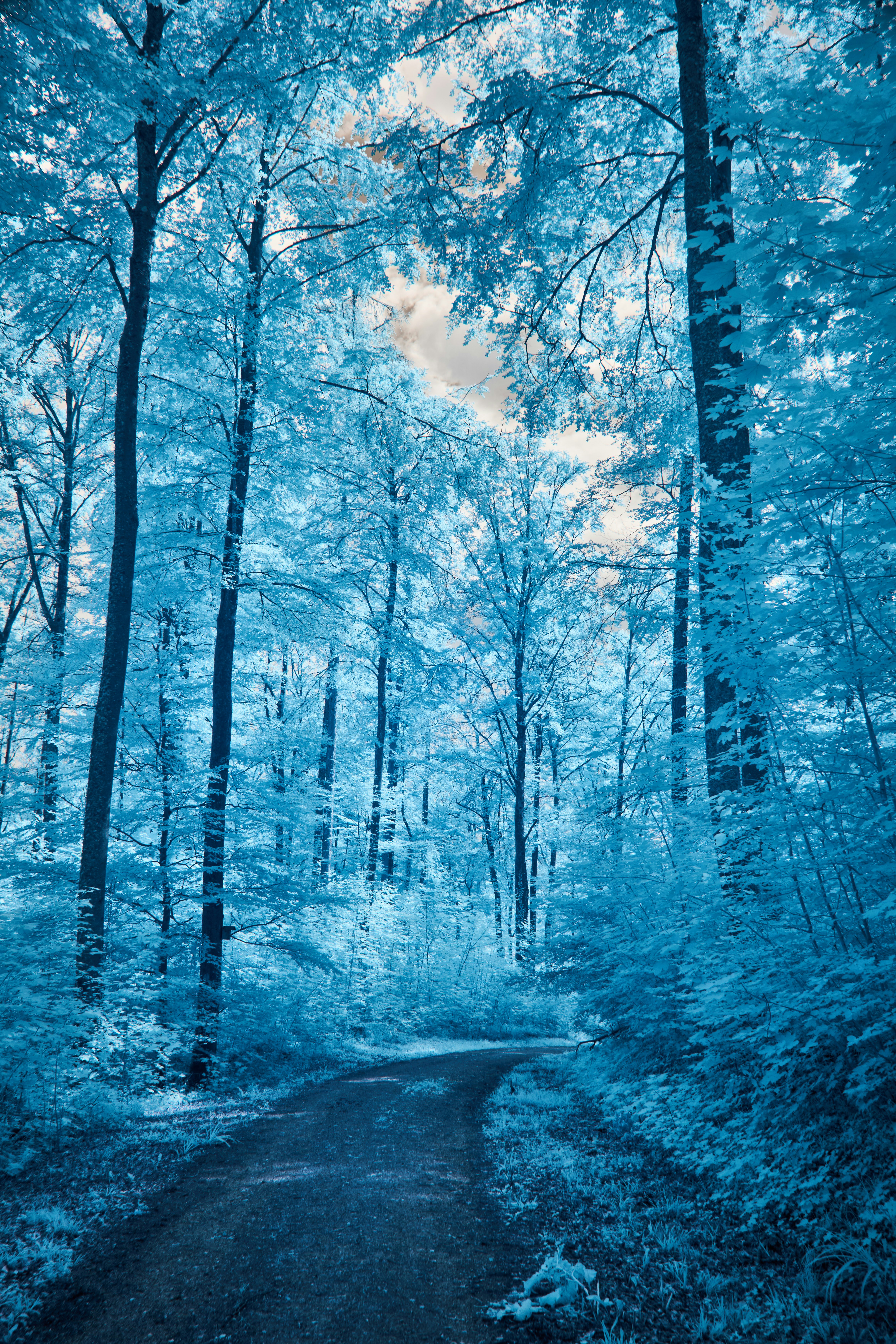 Photo by wolfgang_hasselmann