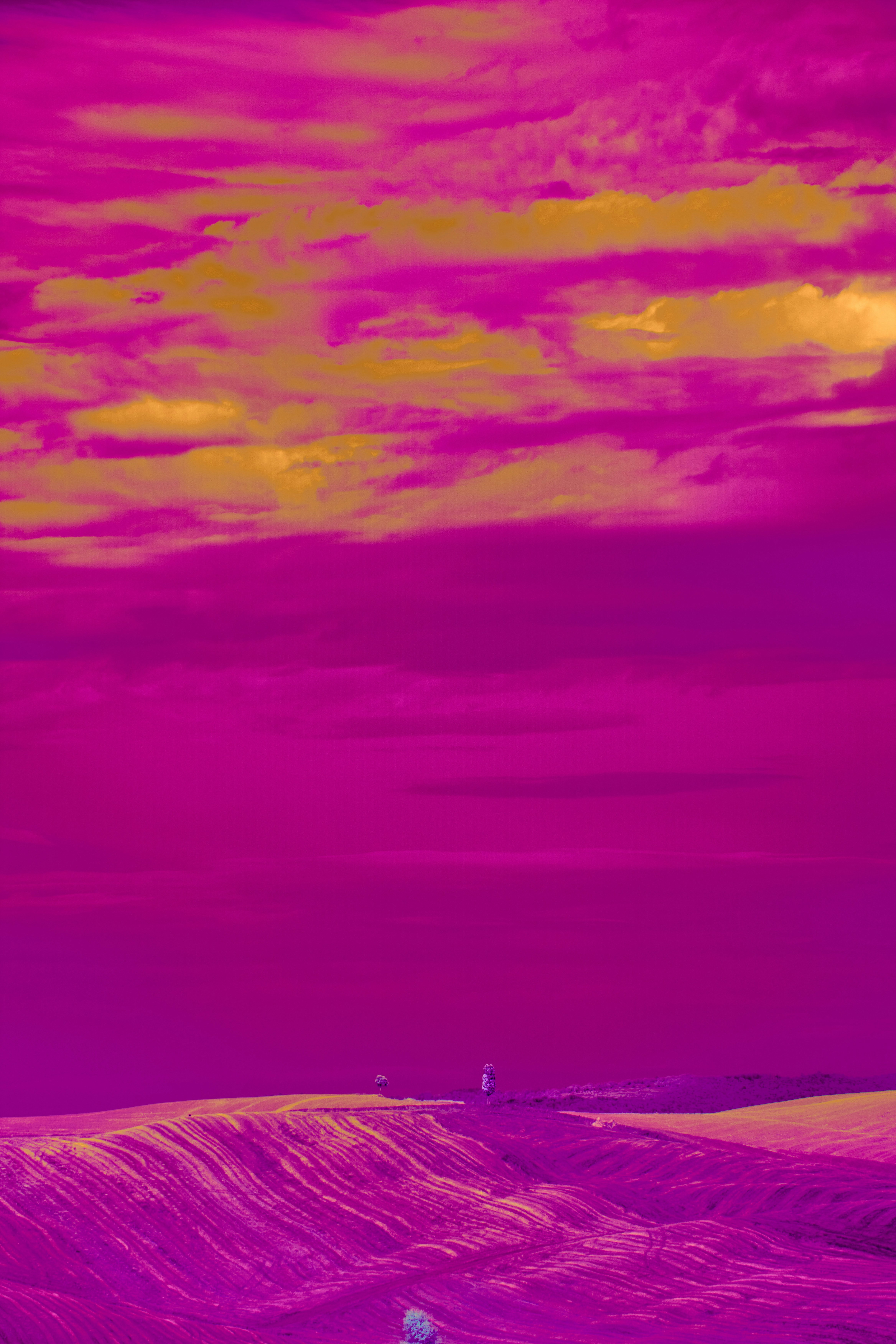 Photo by wolfgang_hasselmann