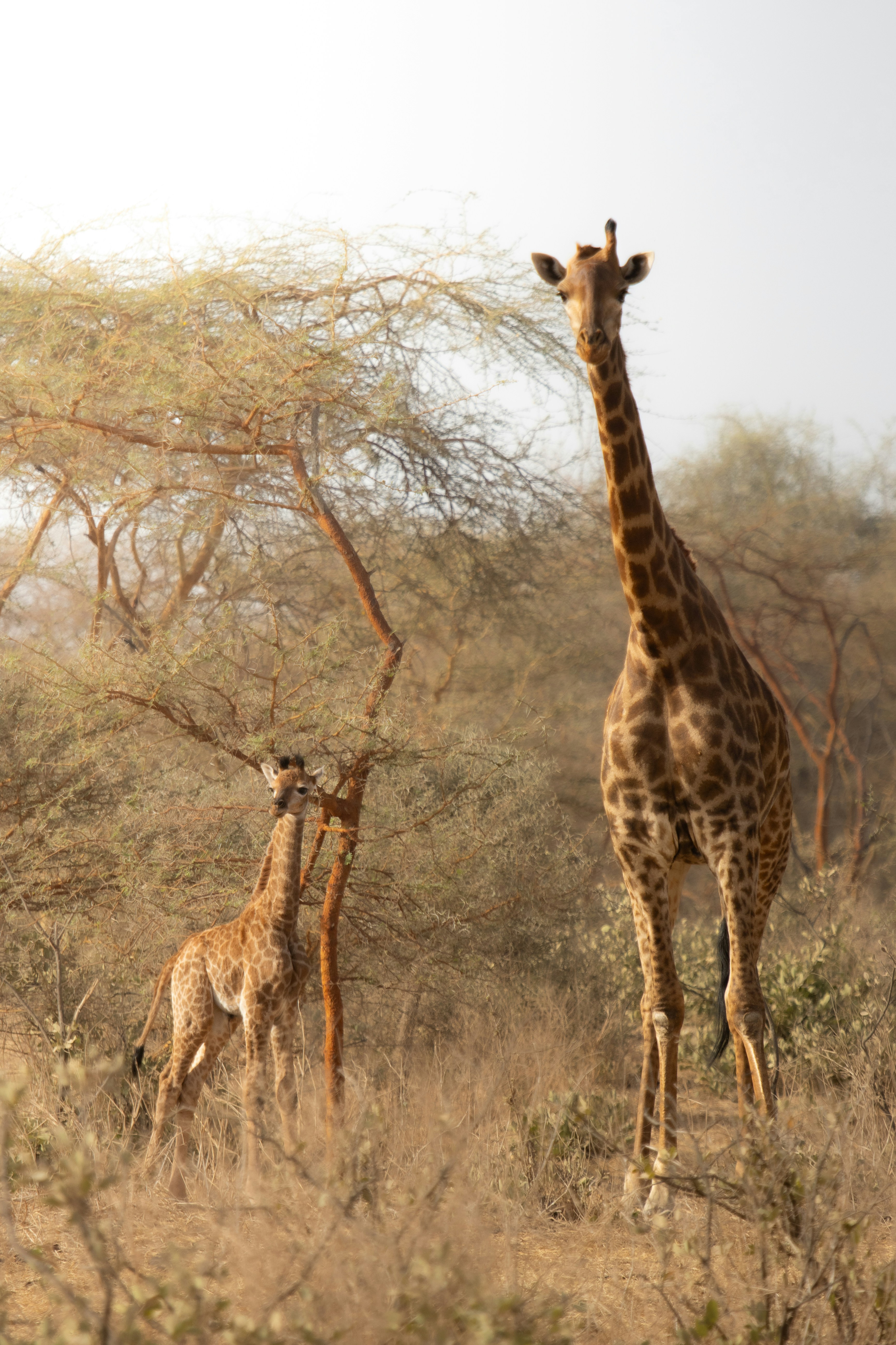 Photo by nathanael240606