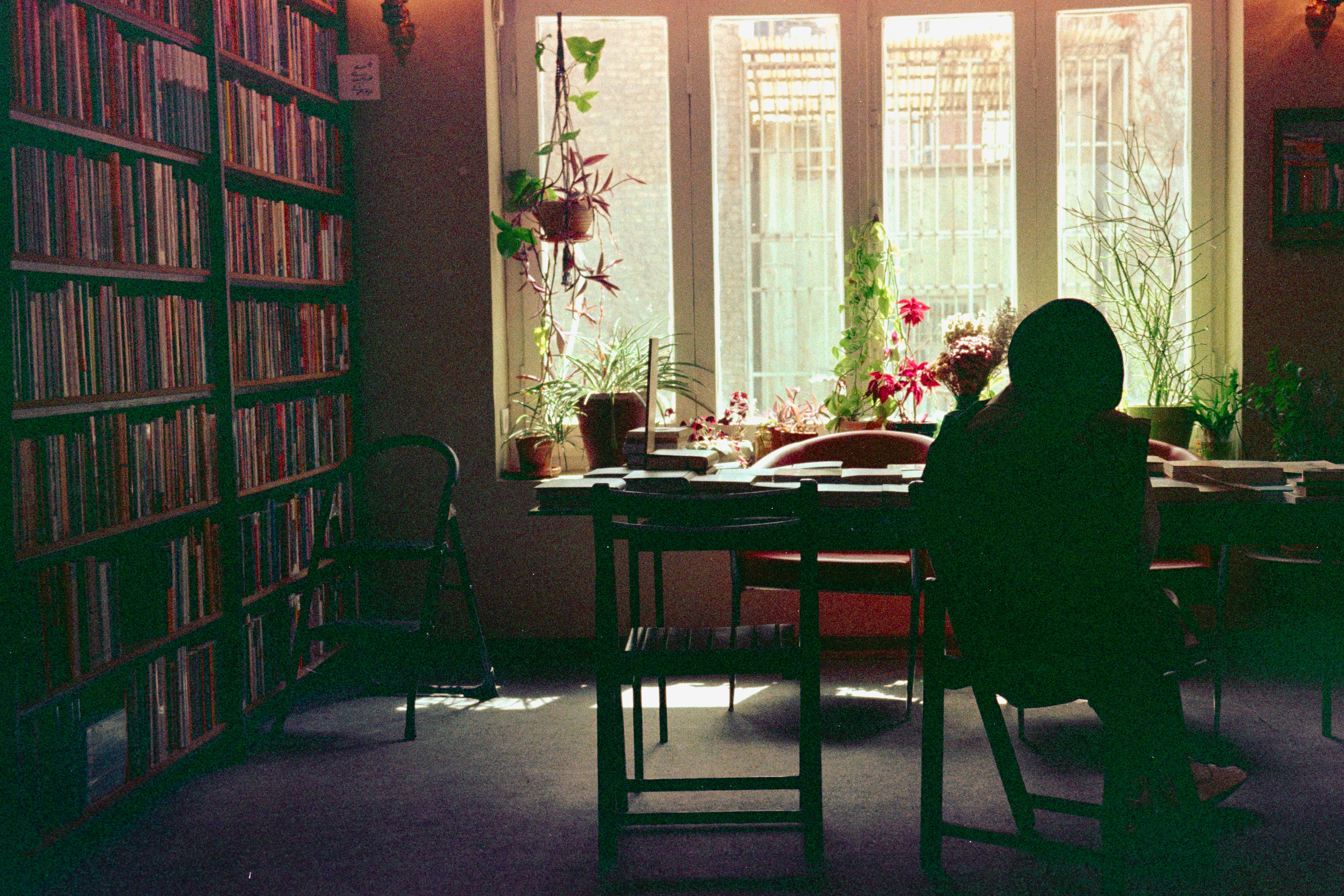 Photo by blueswallow