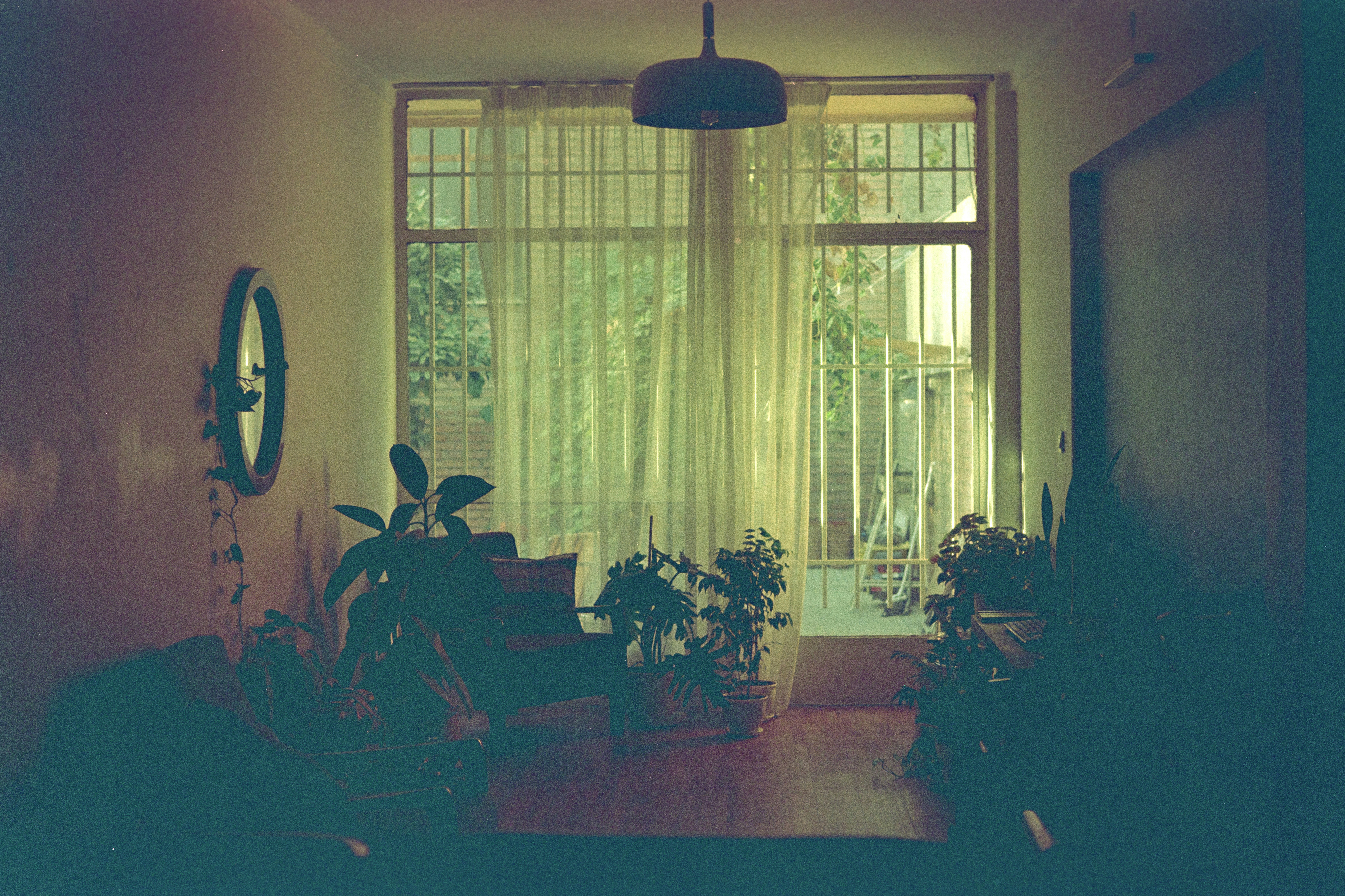 Photo by blueswallow