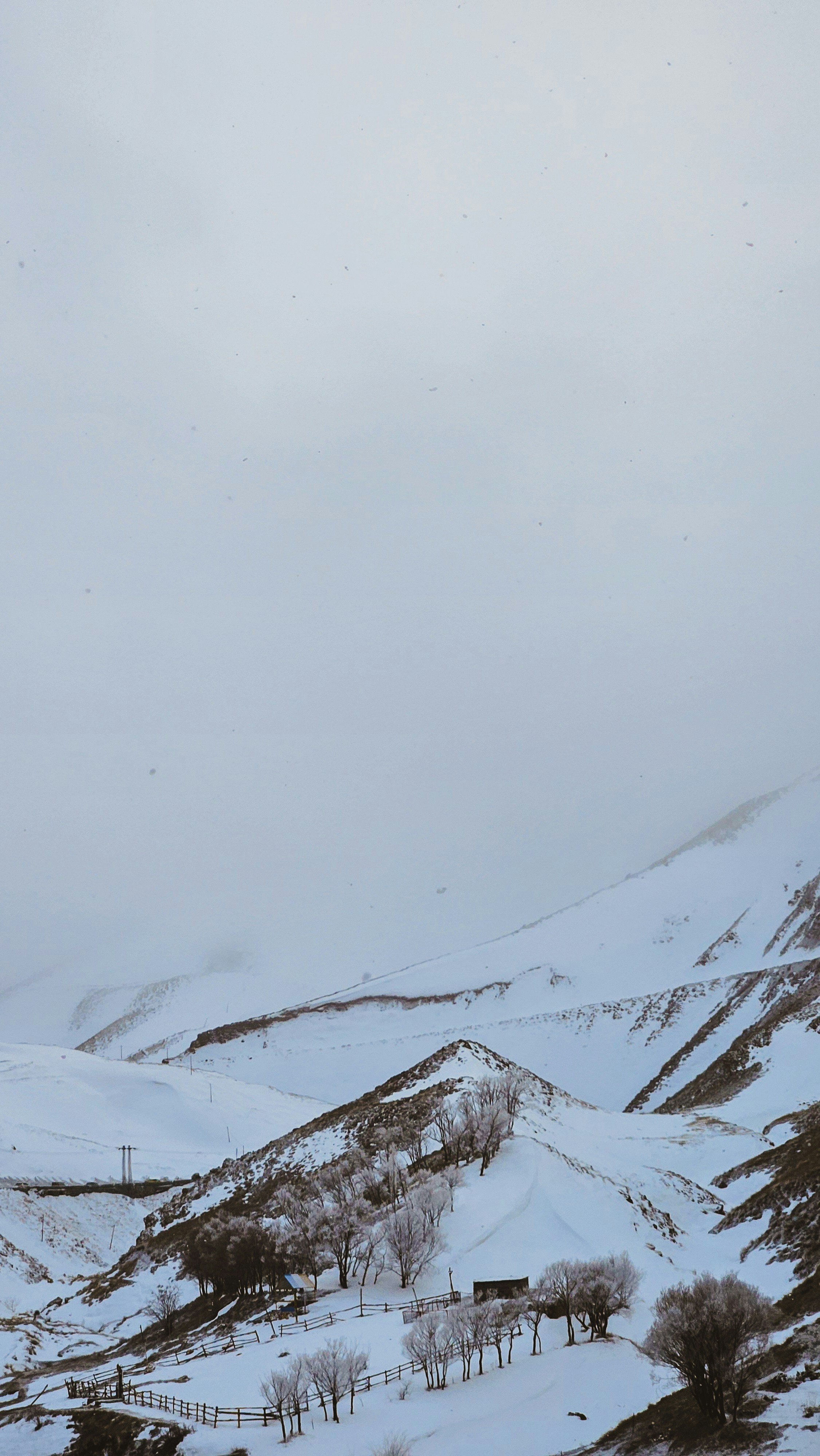 A snow covered mountain with a few trees on it