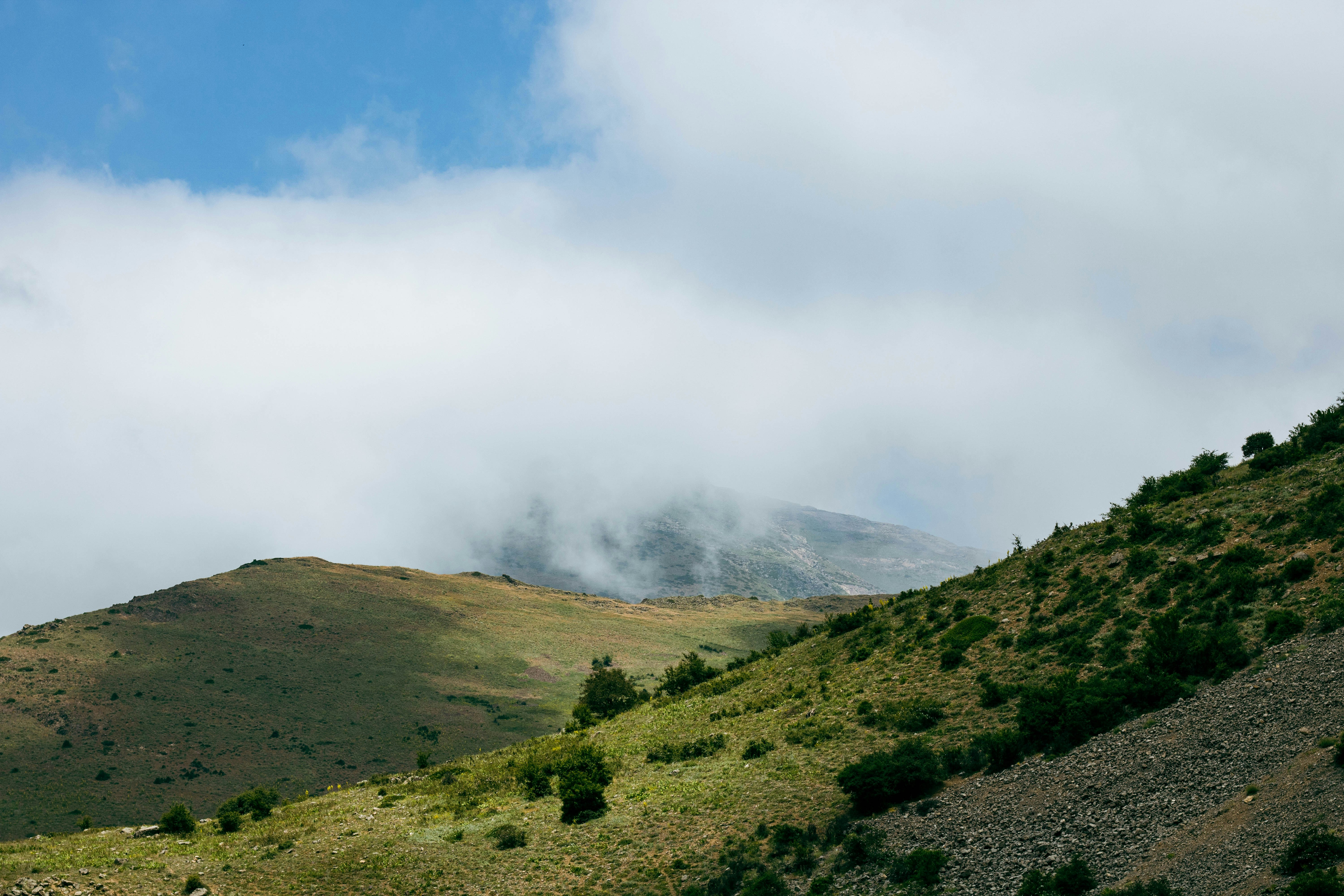 A hill with a few trees on the side of it