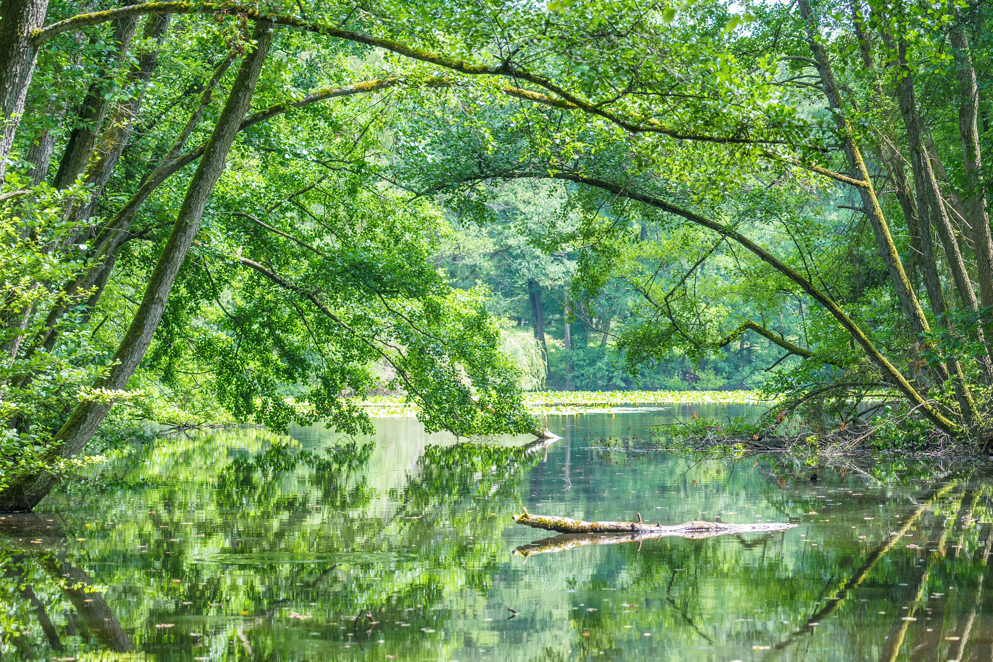 Photo by masoodaslami