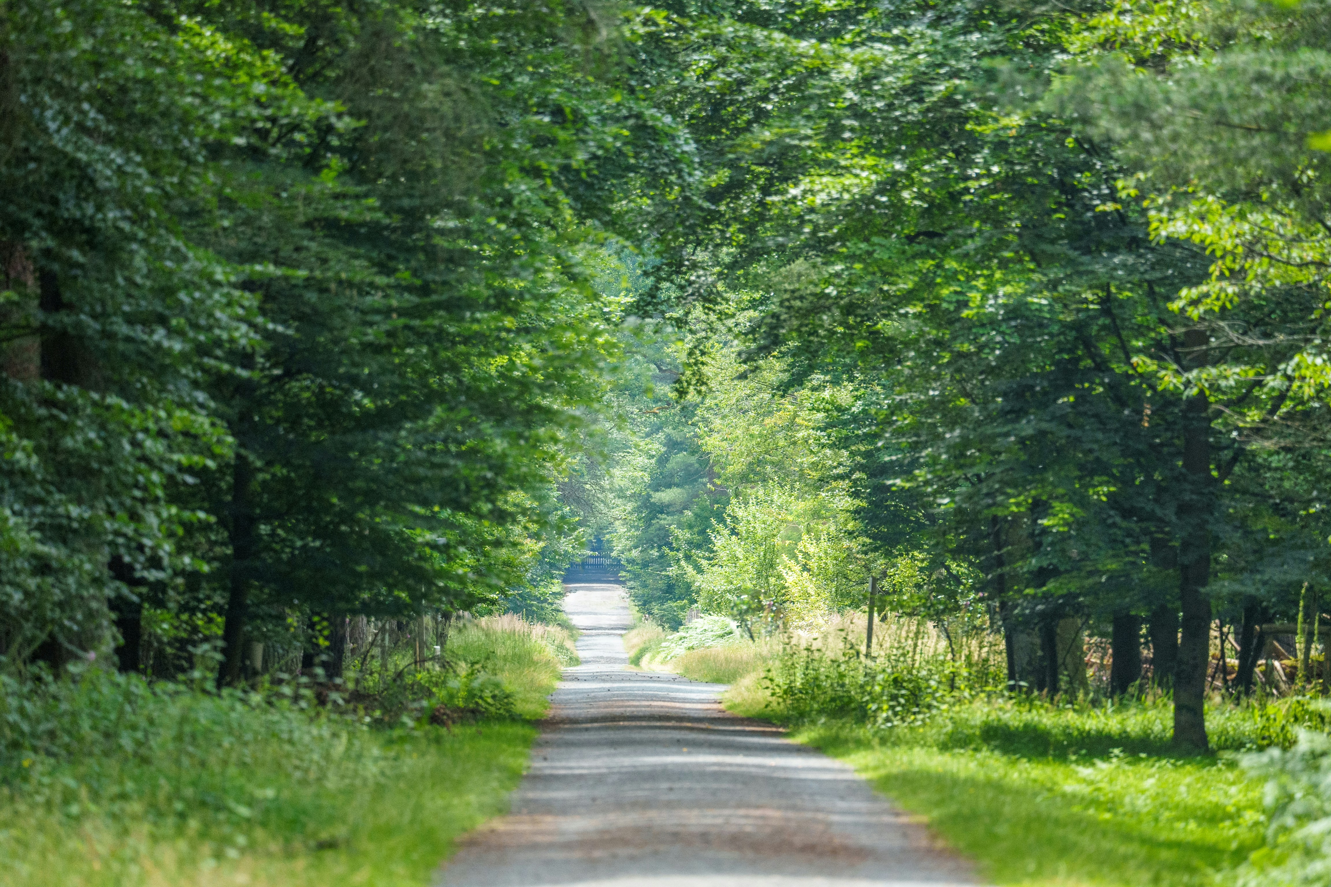 Photo by masoodaslami