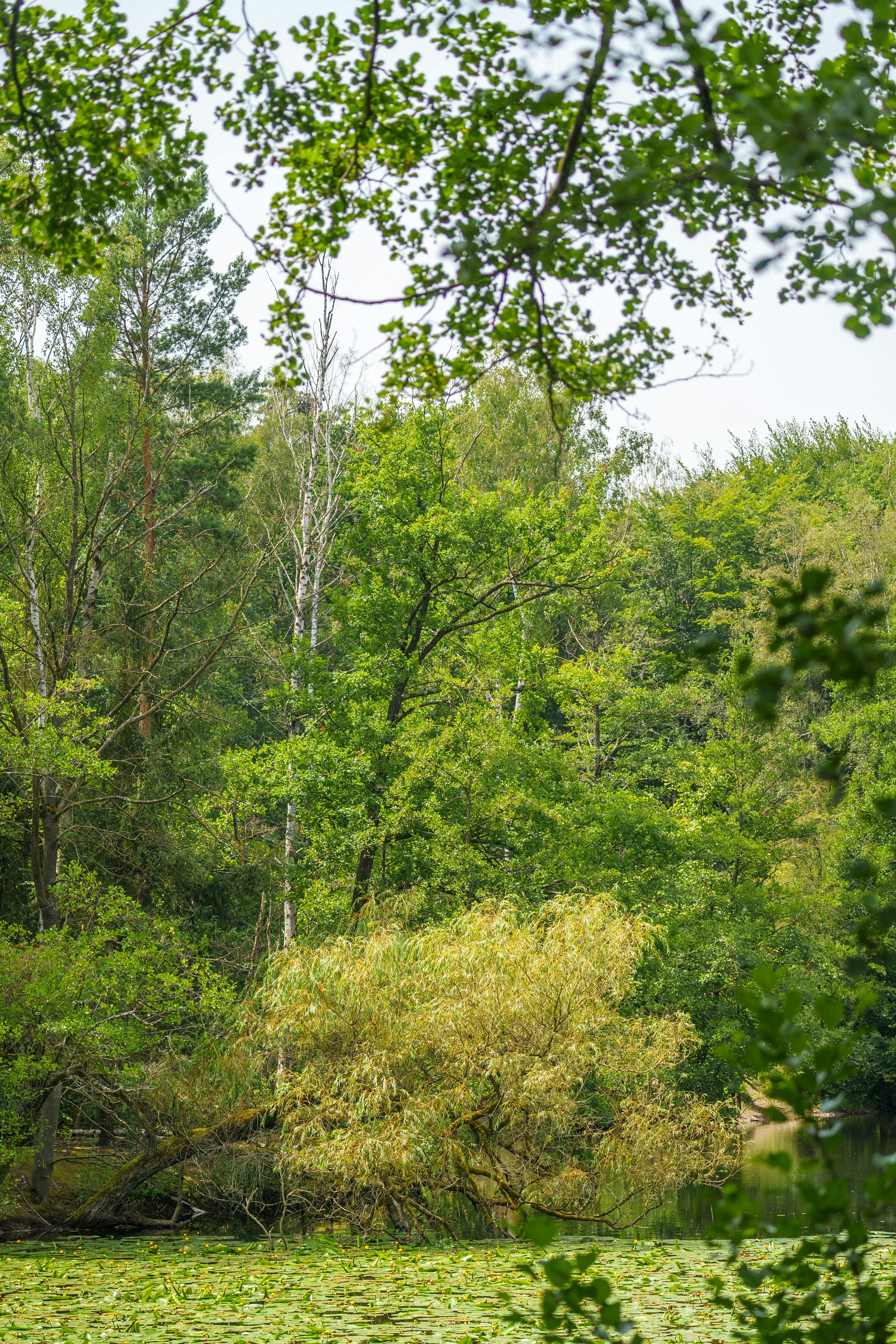 Photo by masoodaslami