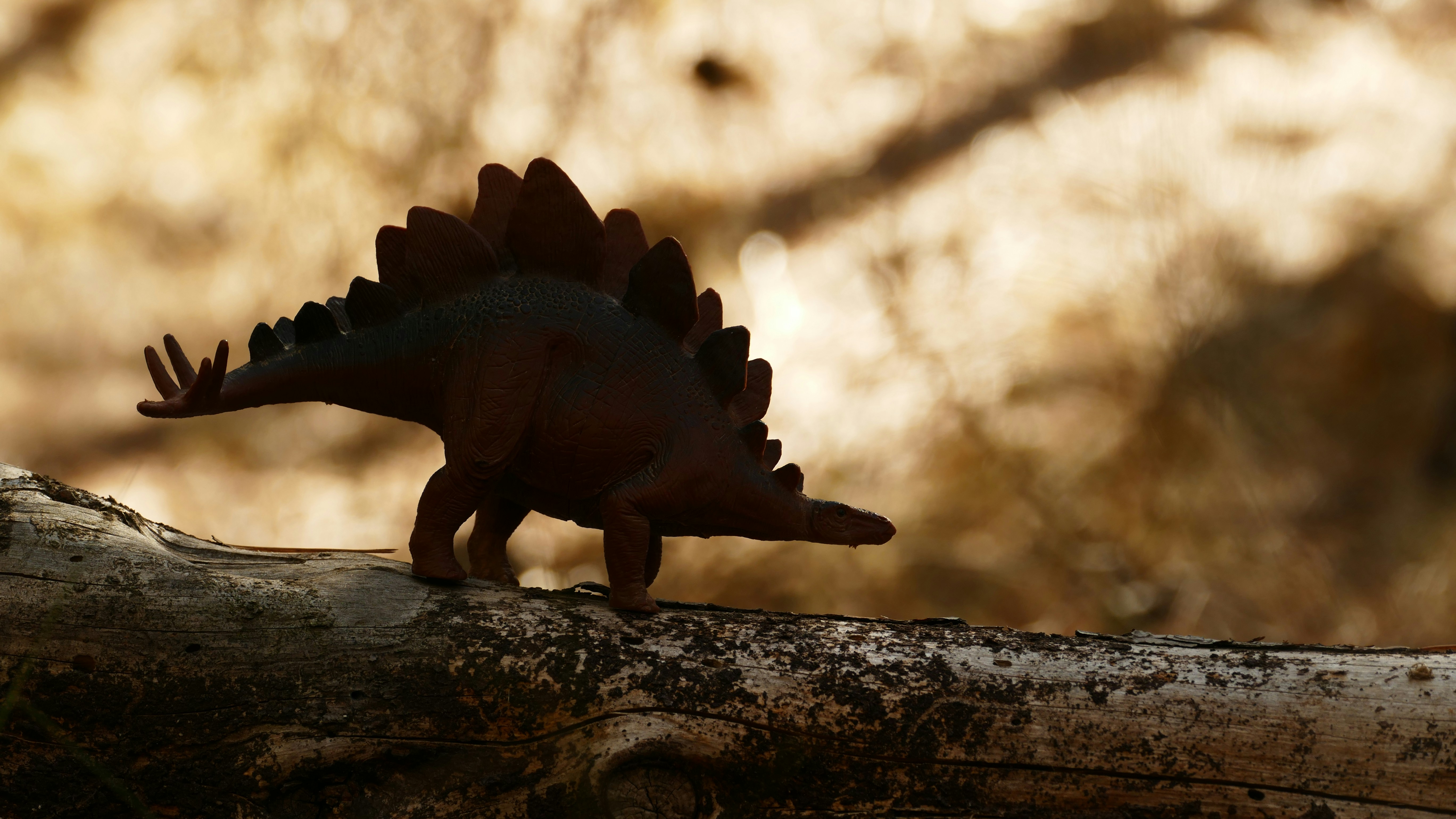 A small toy dinosaur standing on a tree branch