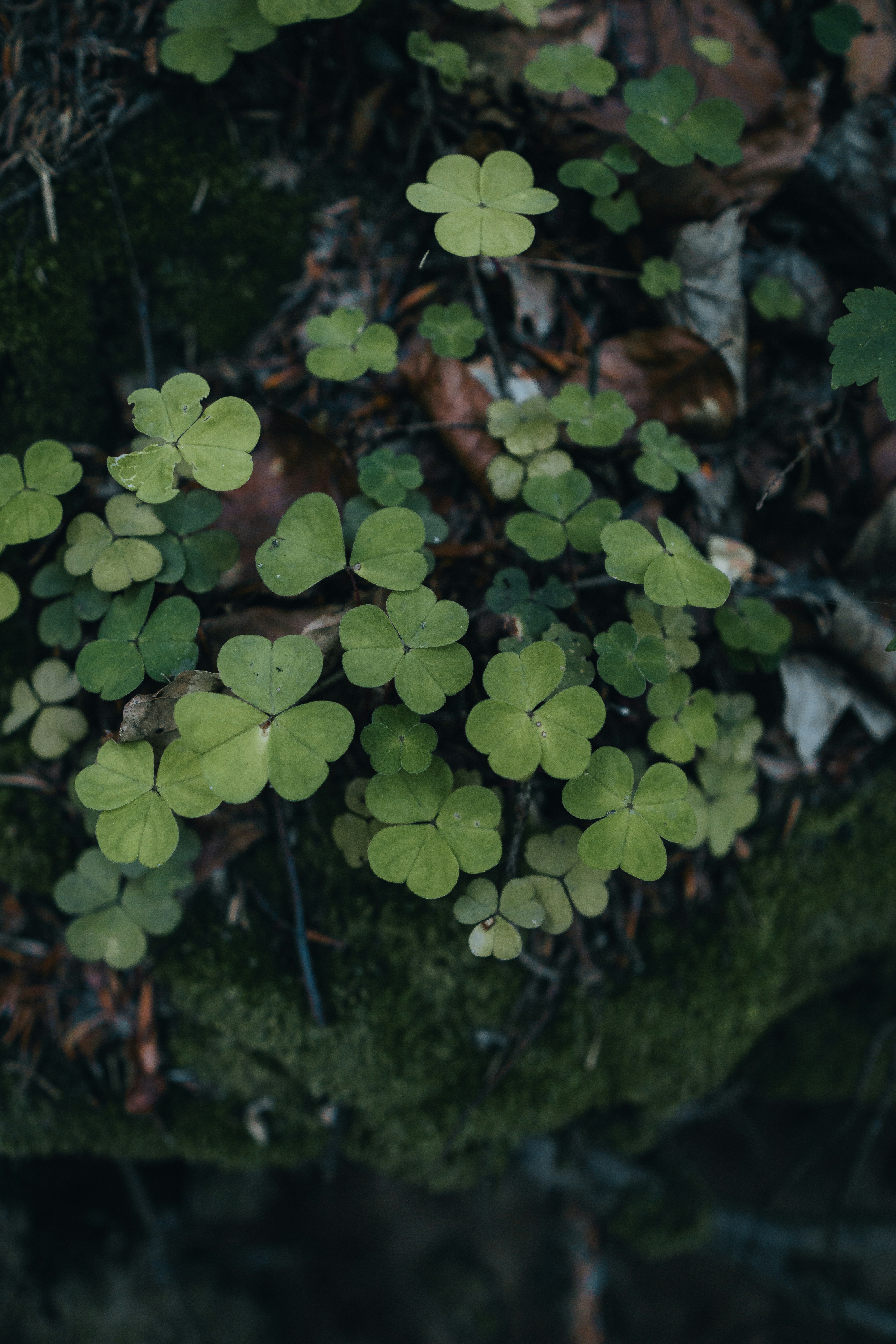 Photo by androwv