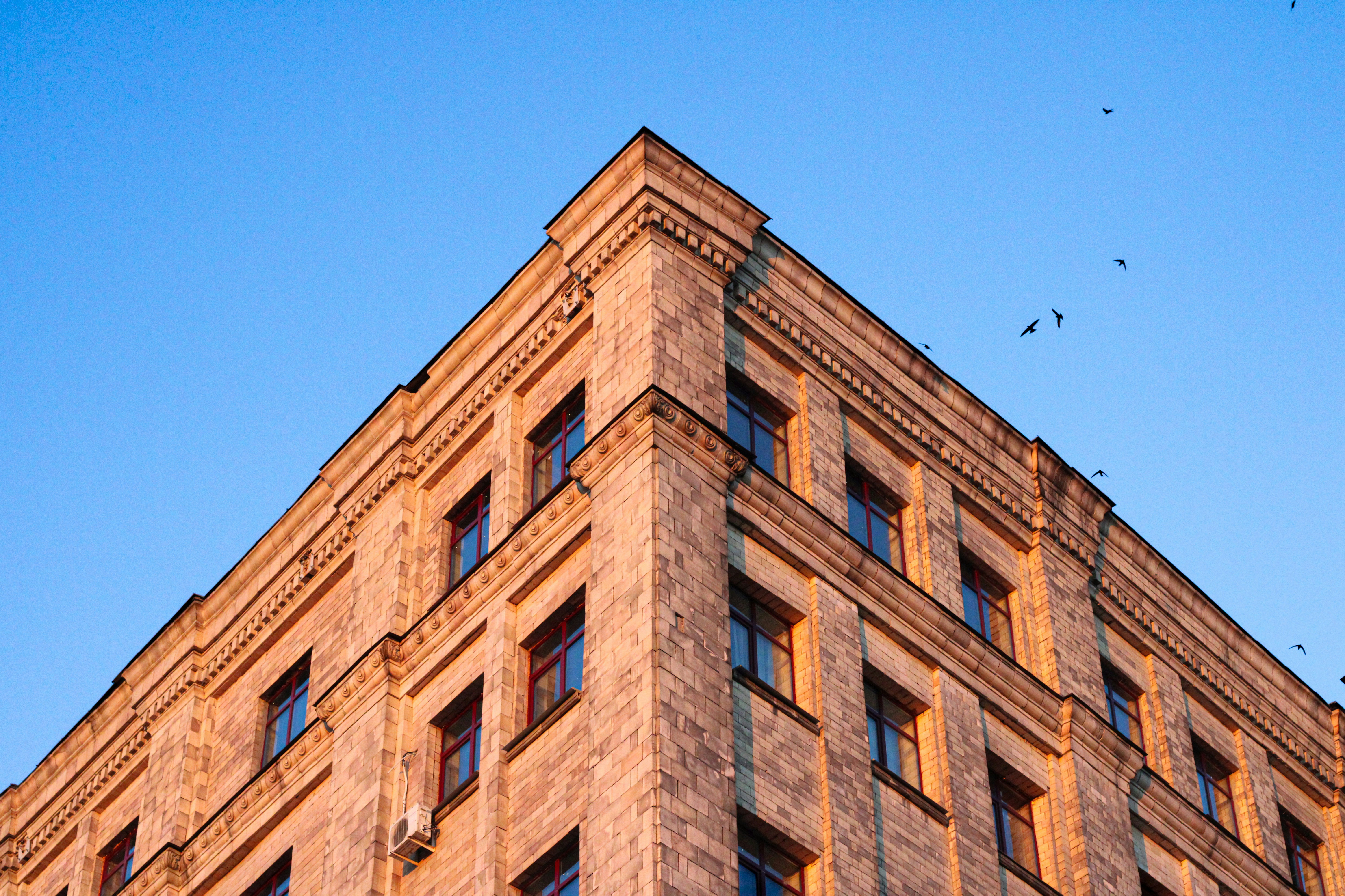 Photo by that_one_ukrainian