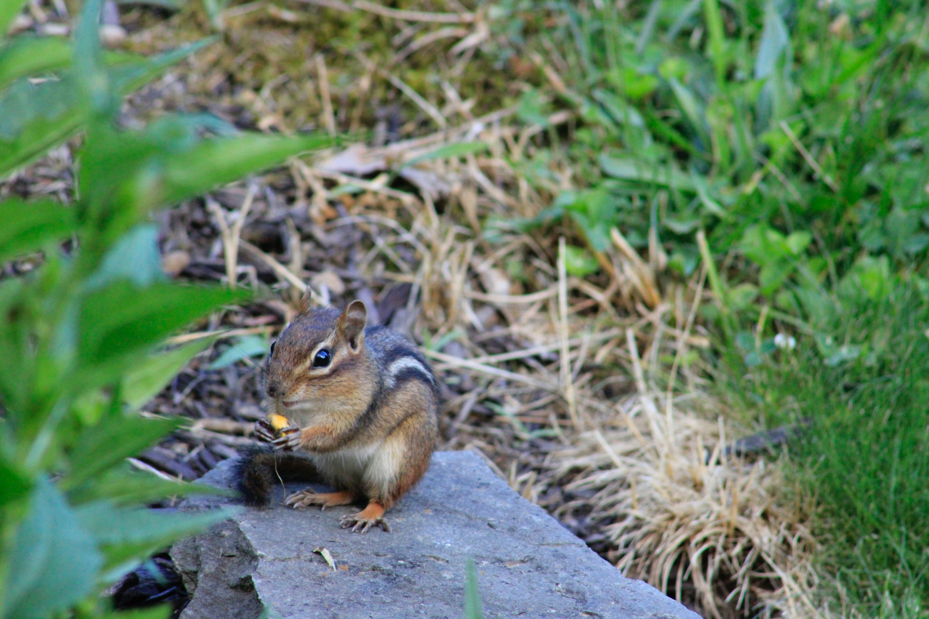 Photo by lisa_duqlaw