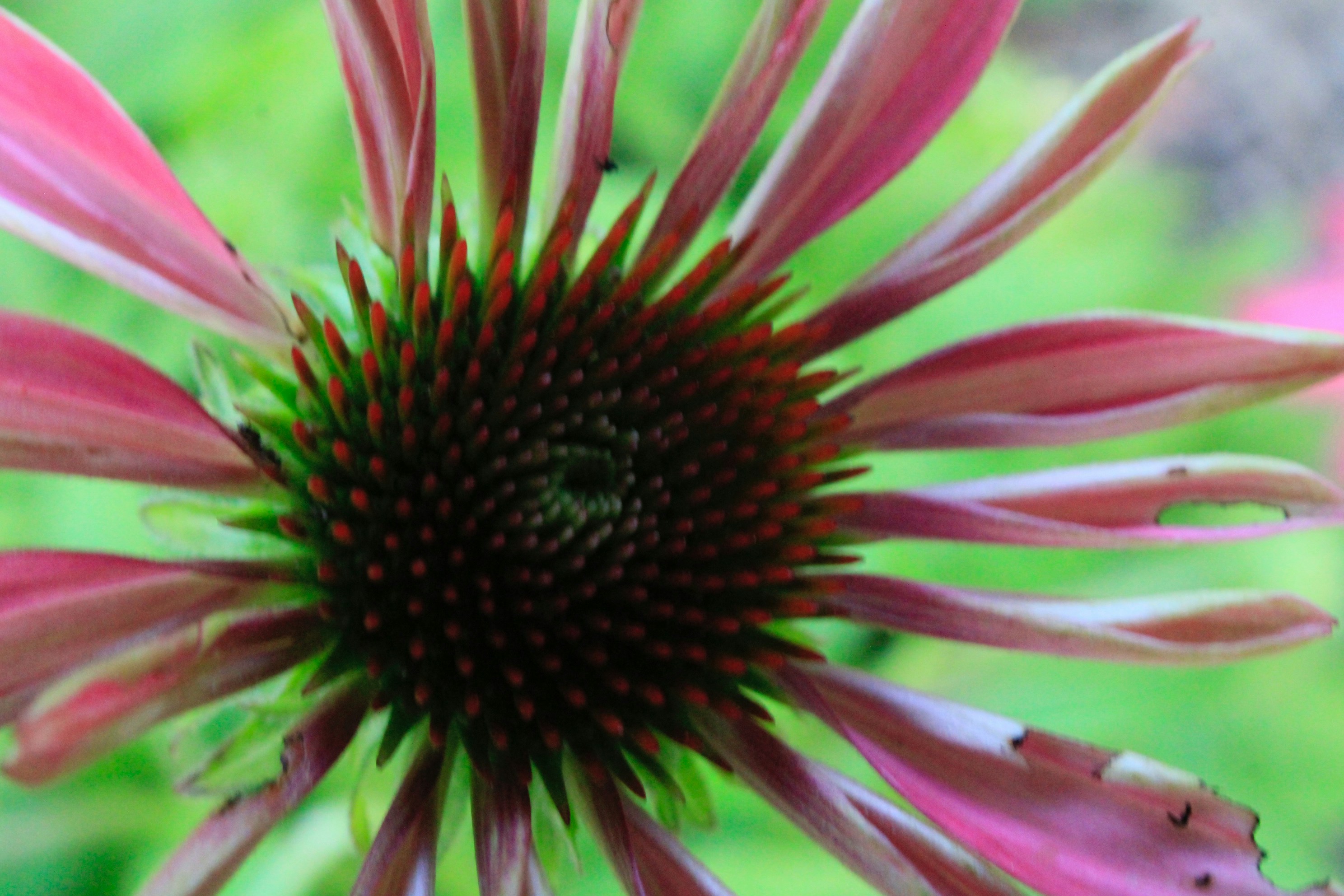 Photo by lisa_duqlaw