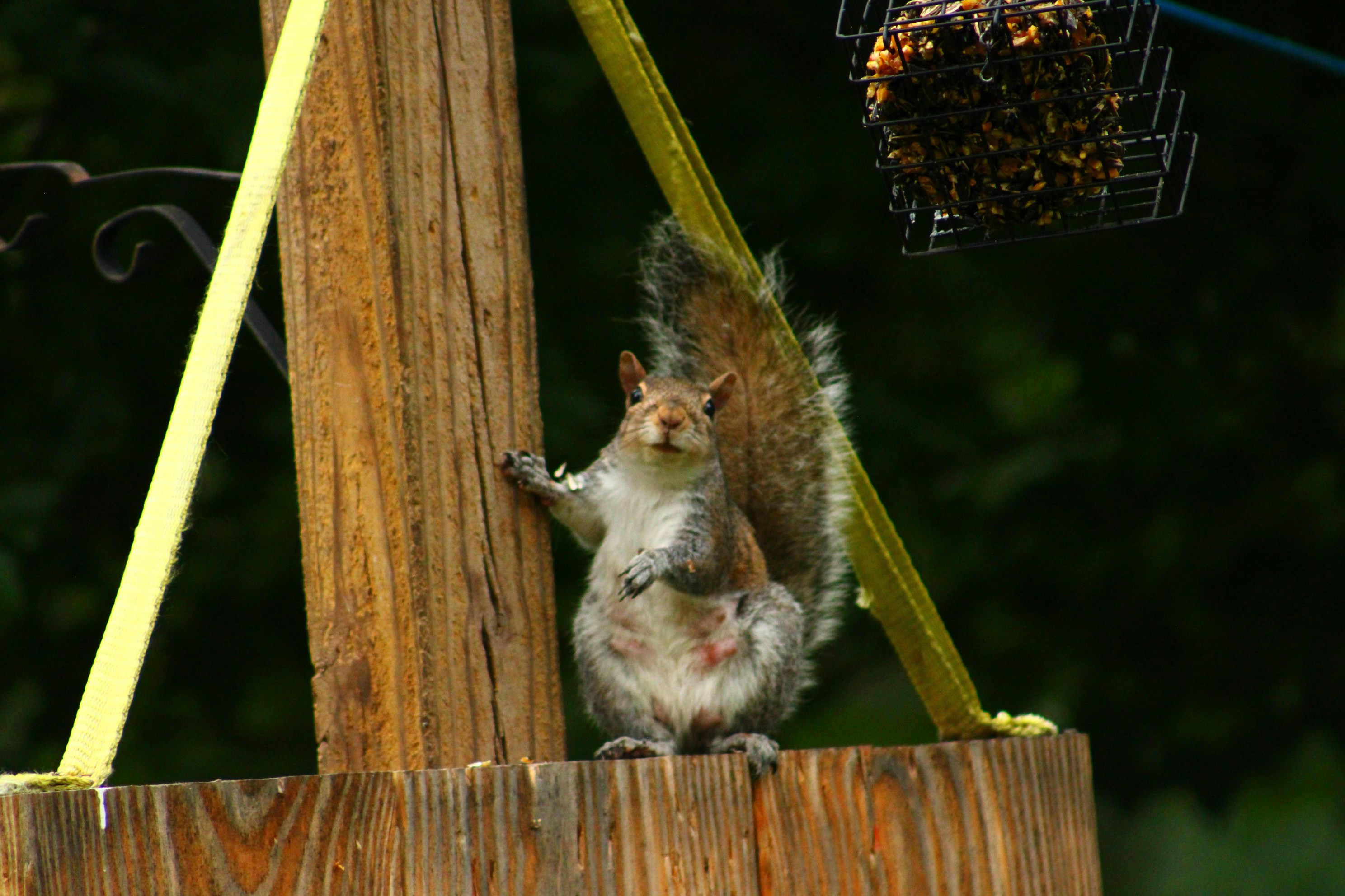 Photo by lisa_duqlaw