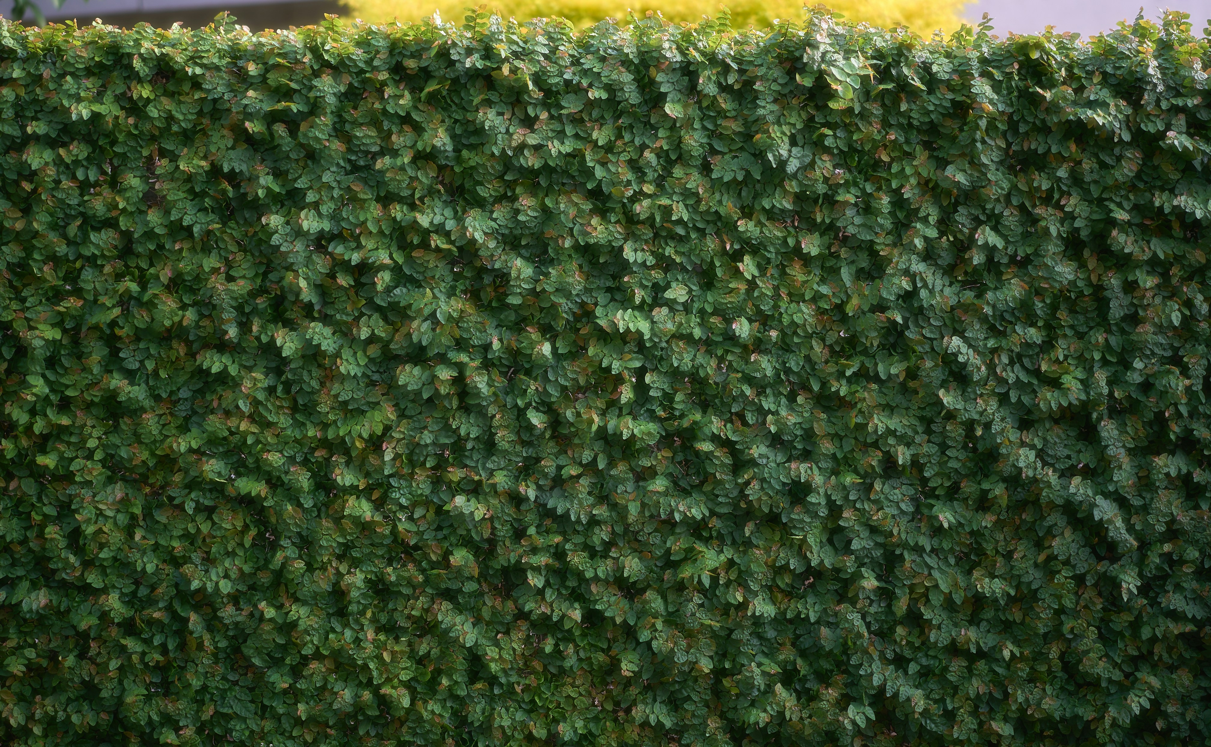 The hedge fund disruption