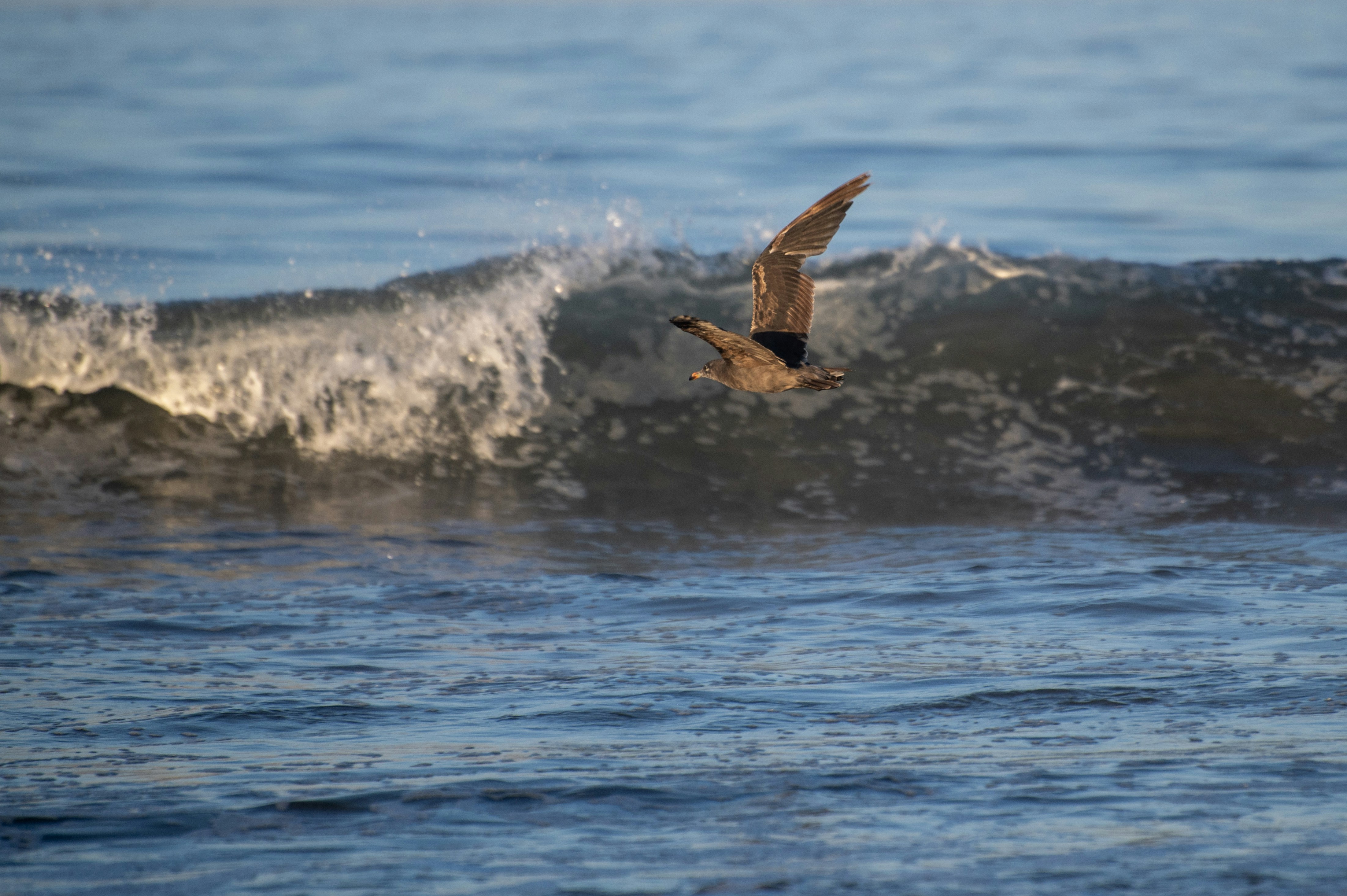 Photo by tracminhvu