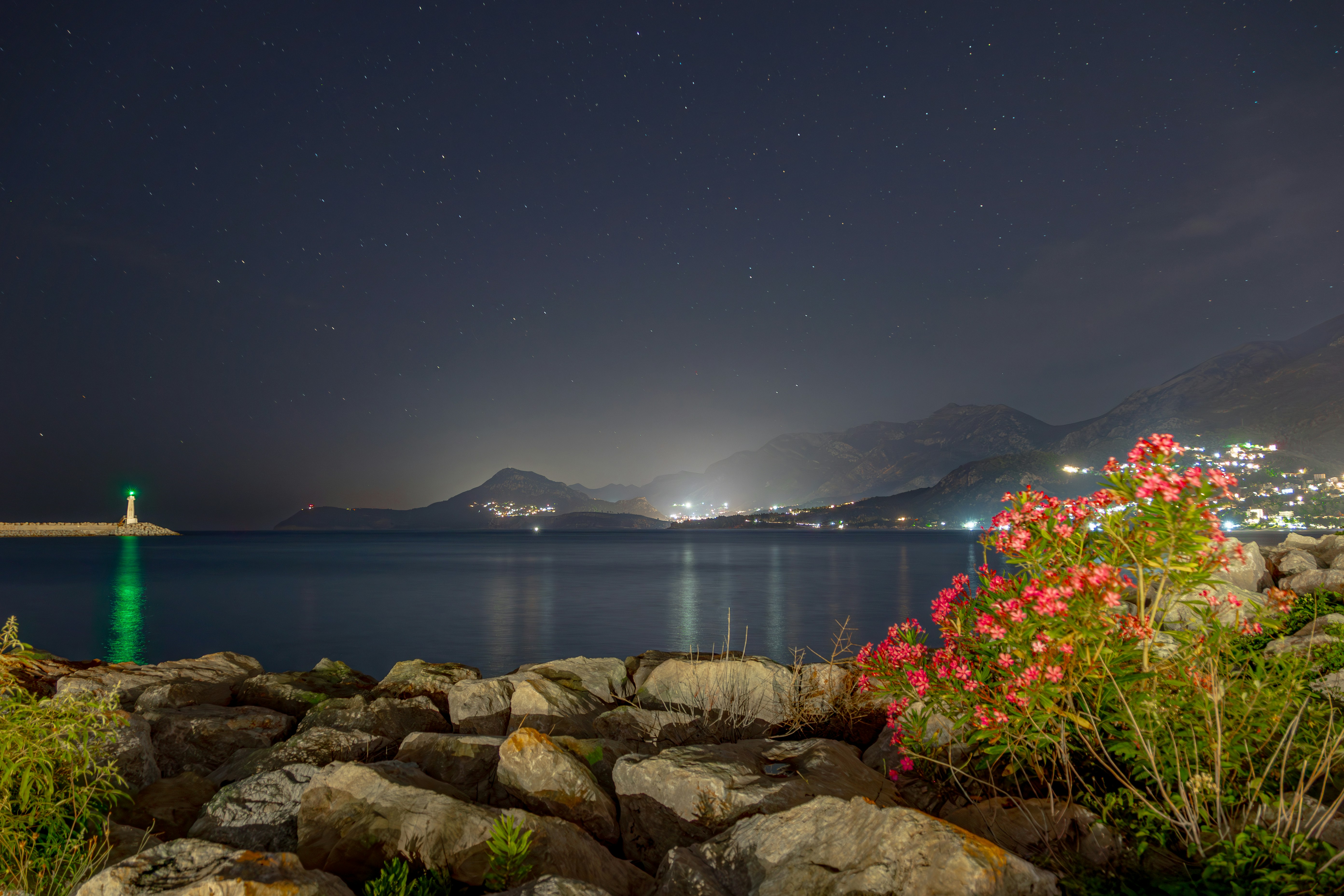 A night view of a body of water with a city in the background