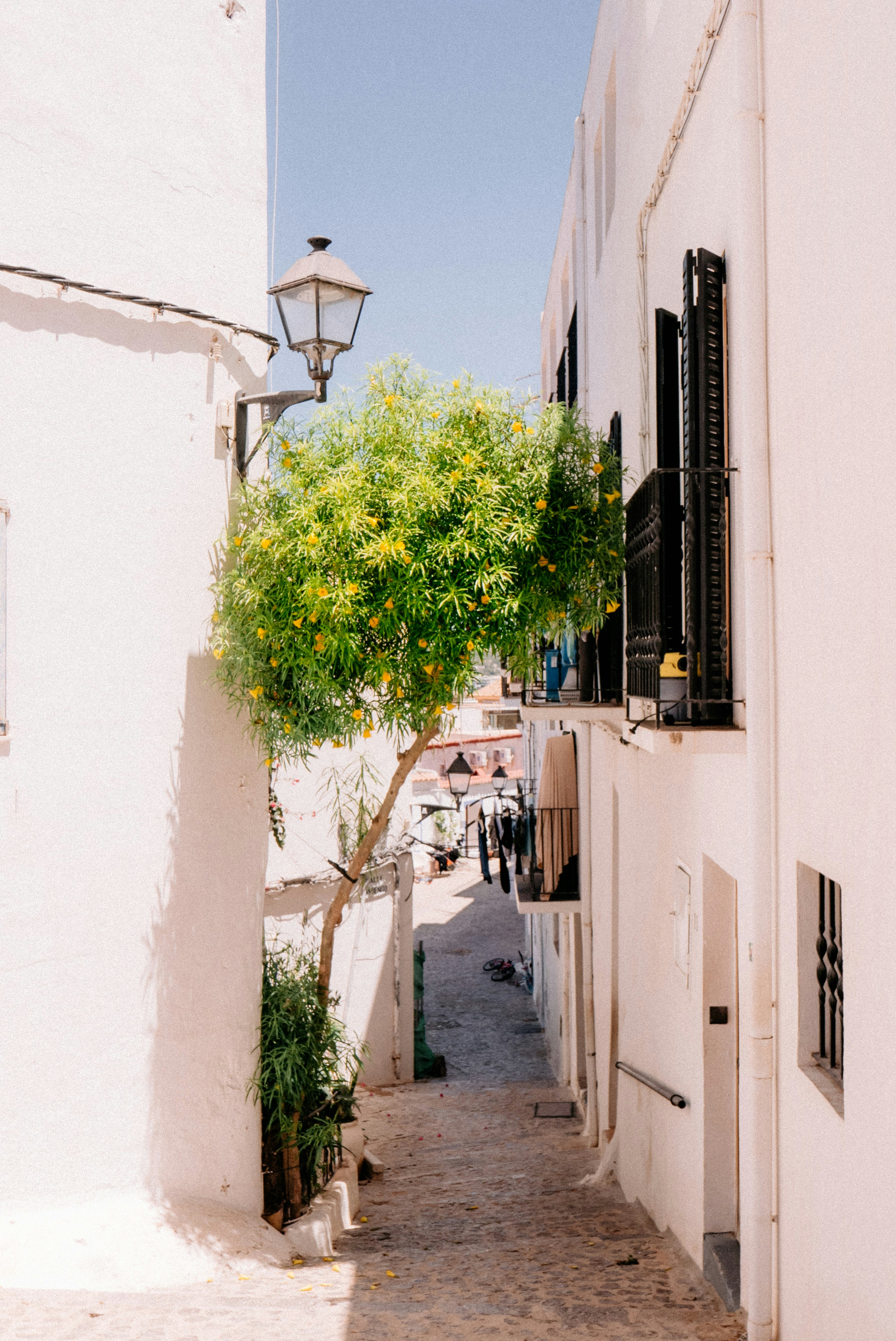 Photo by vitalymazur