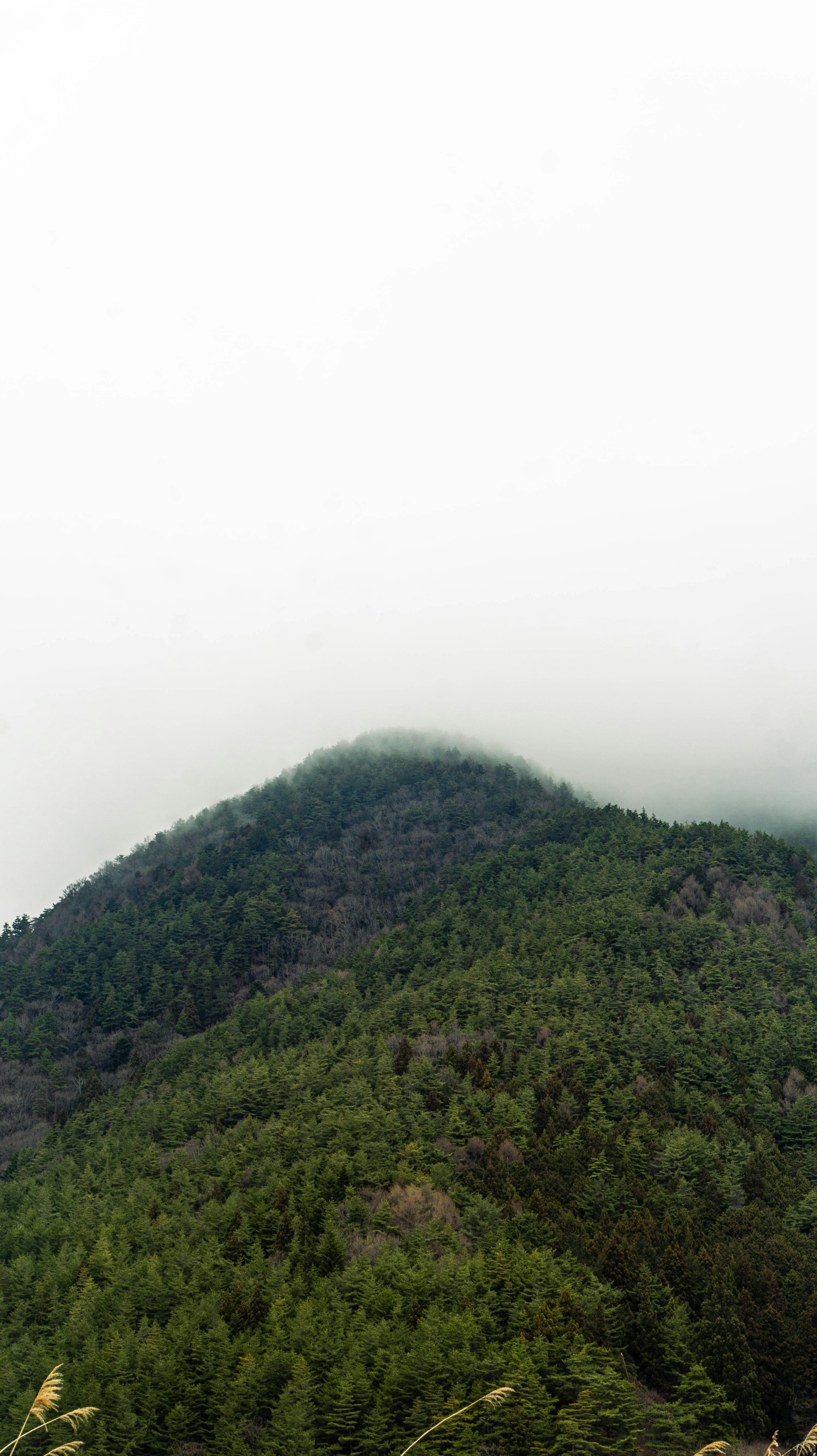 Photo by michaelstevanus