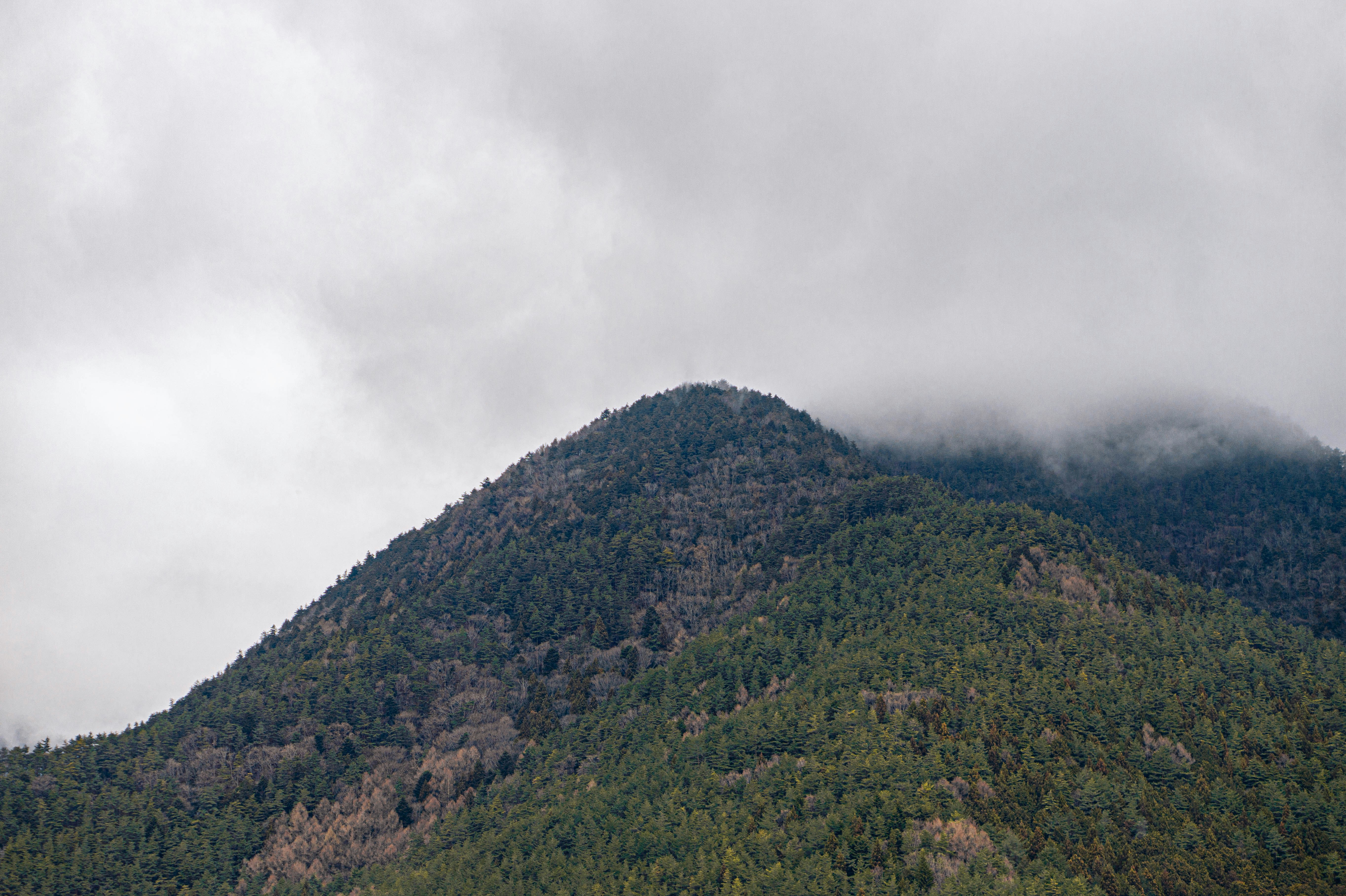 A mountain covered in clouds and trees on a cloudy day