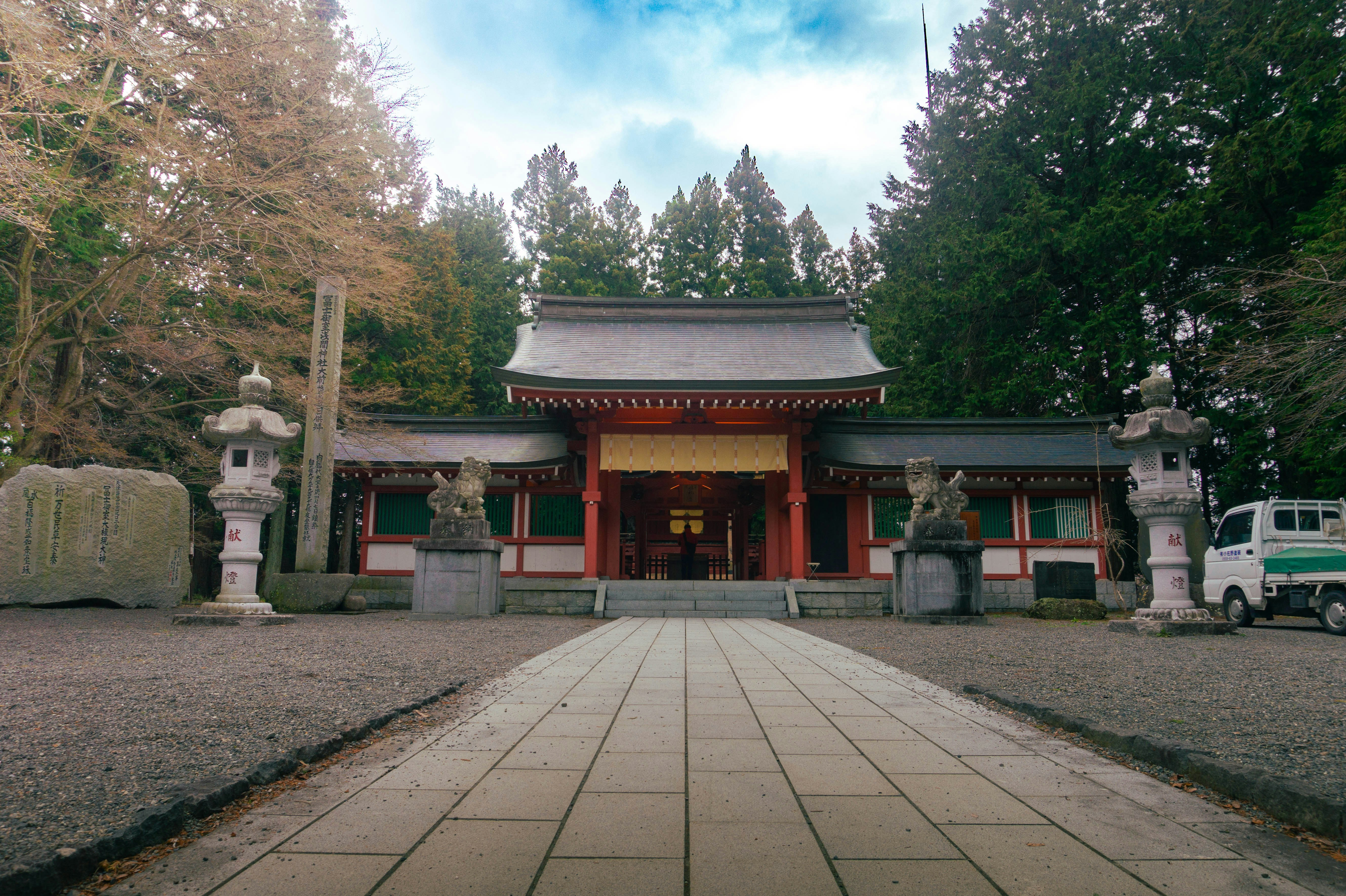 Understanding How MS Treatment Works in Your Body