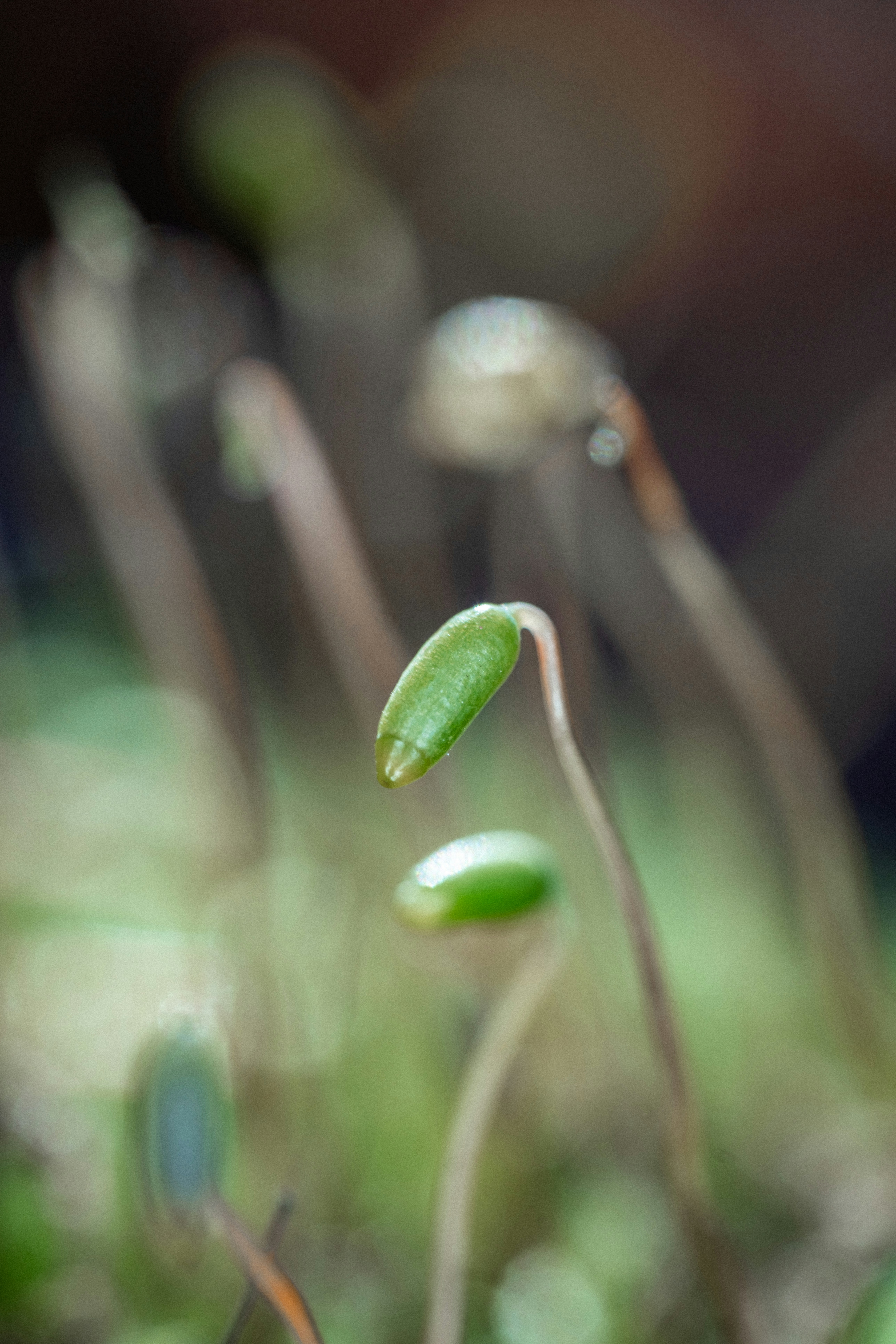 Photo by alexandredaoust