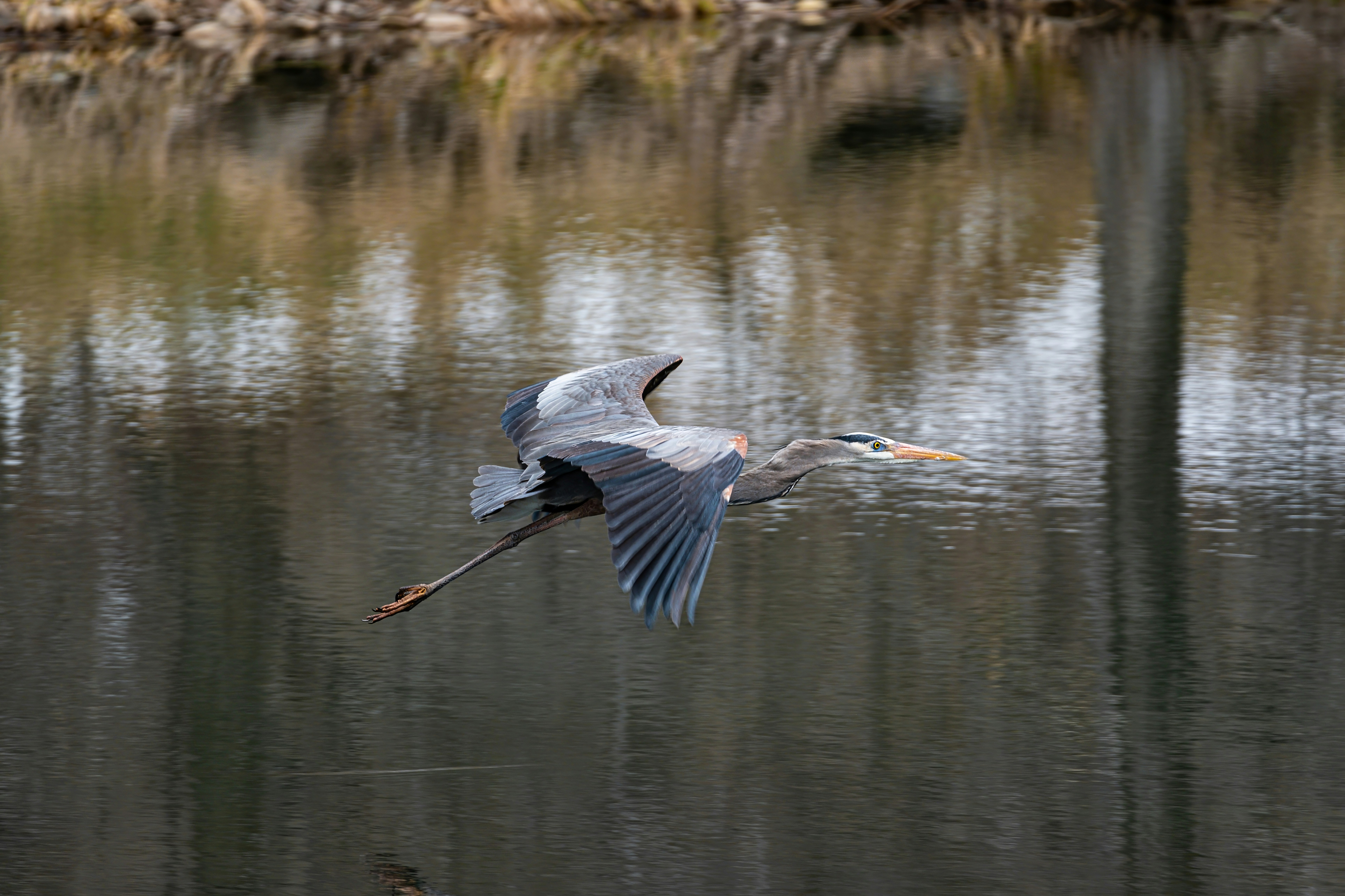 Photo by alexandredaoust