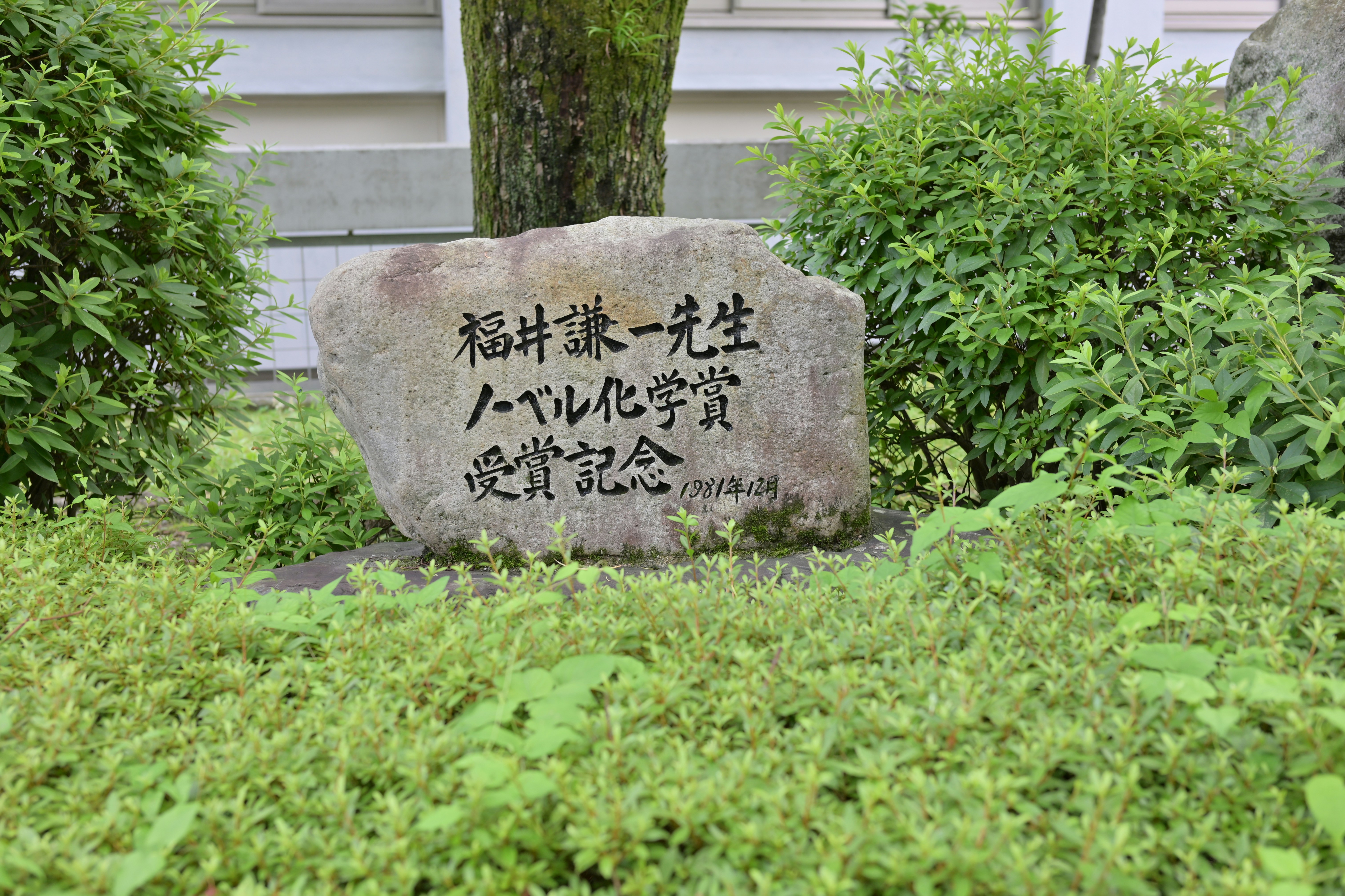 Article illustration 3