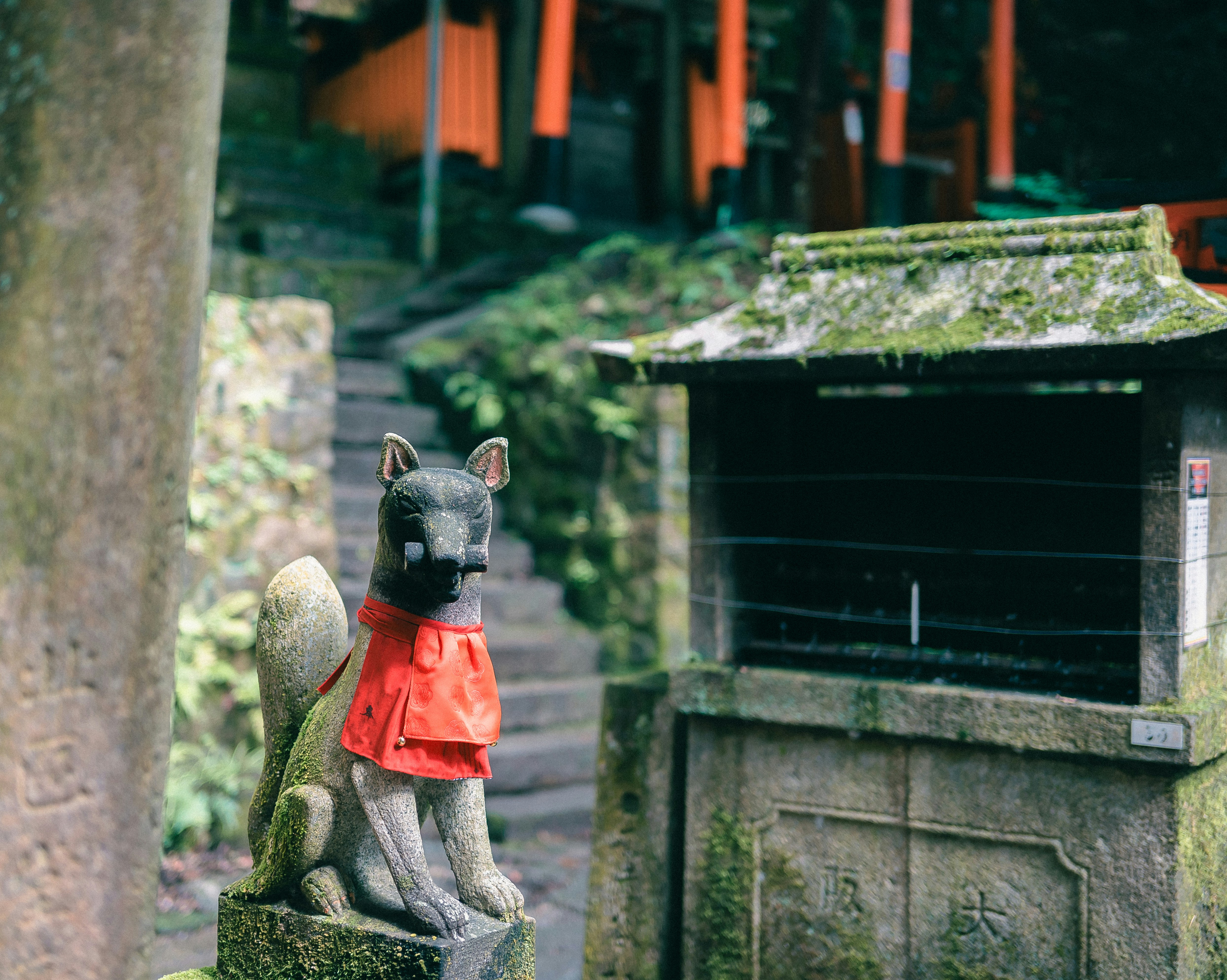 fushimi inari