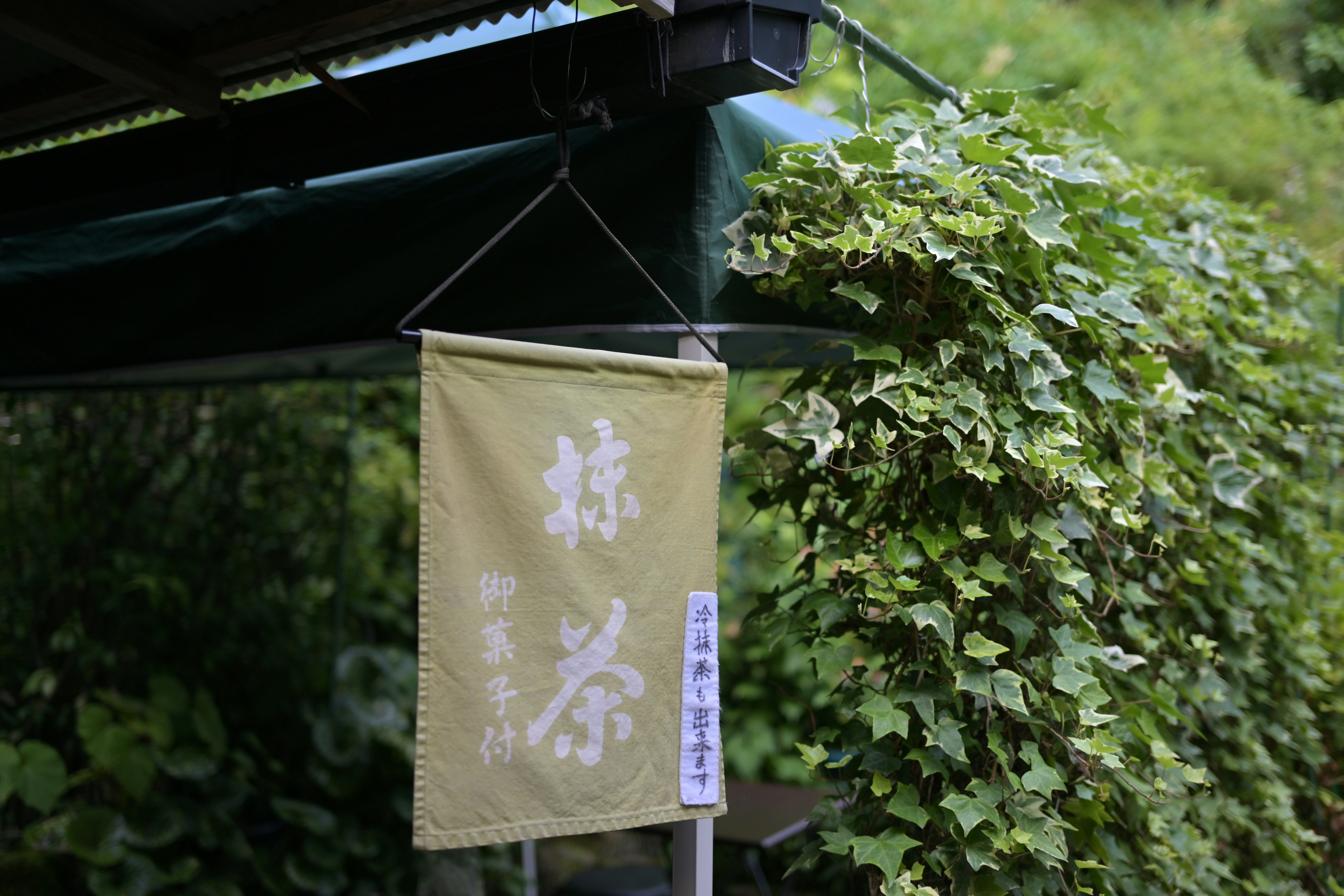 Outdoor fukubukuro bags with images of camping gear or hiking boots on the label