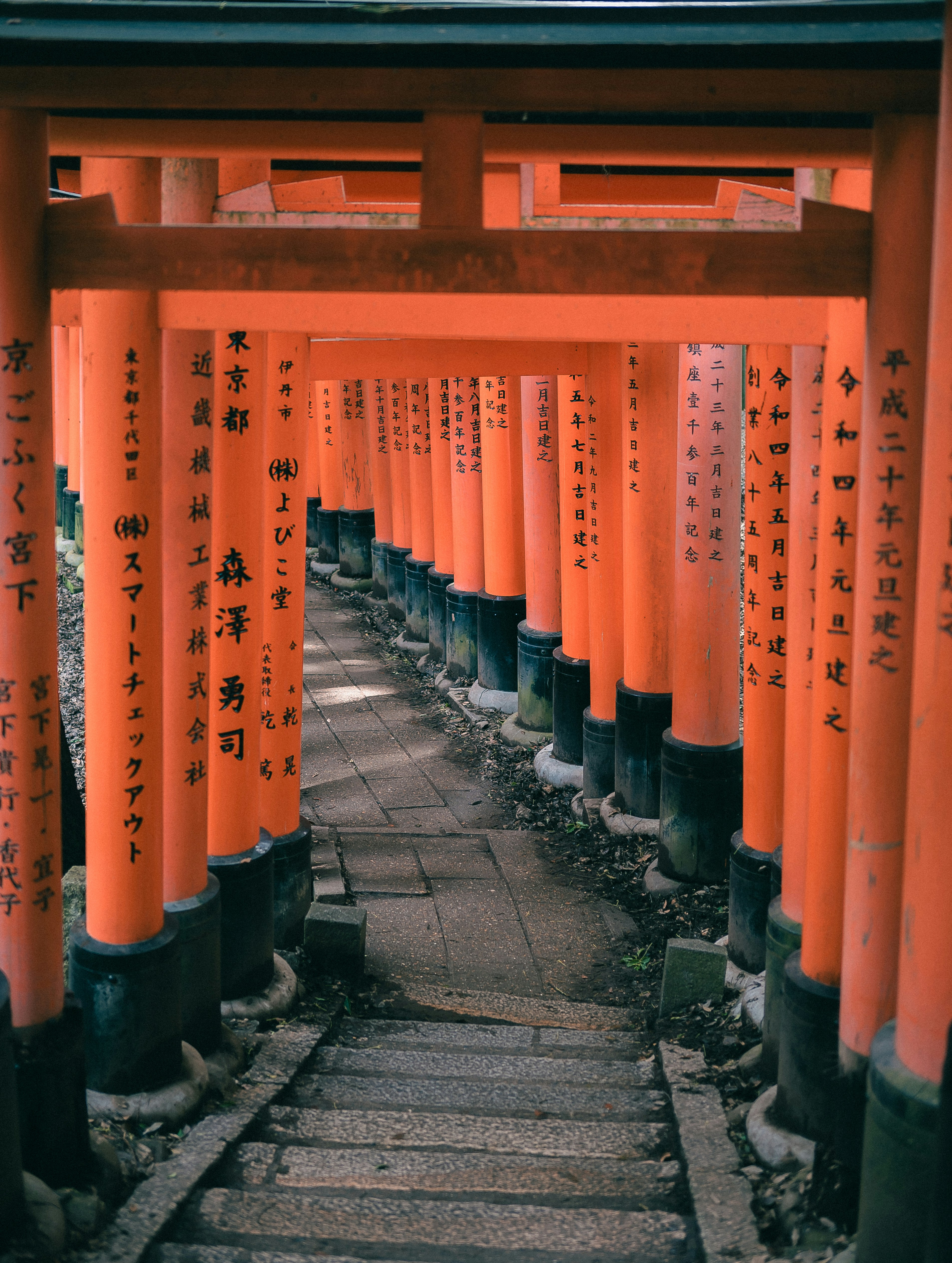A walkway lined with orange tori tori tori tori tori tori tori tori tori tori tori