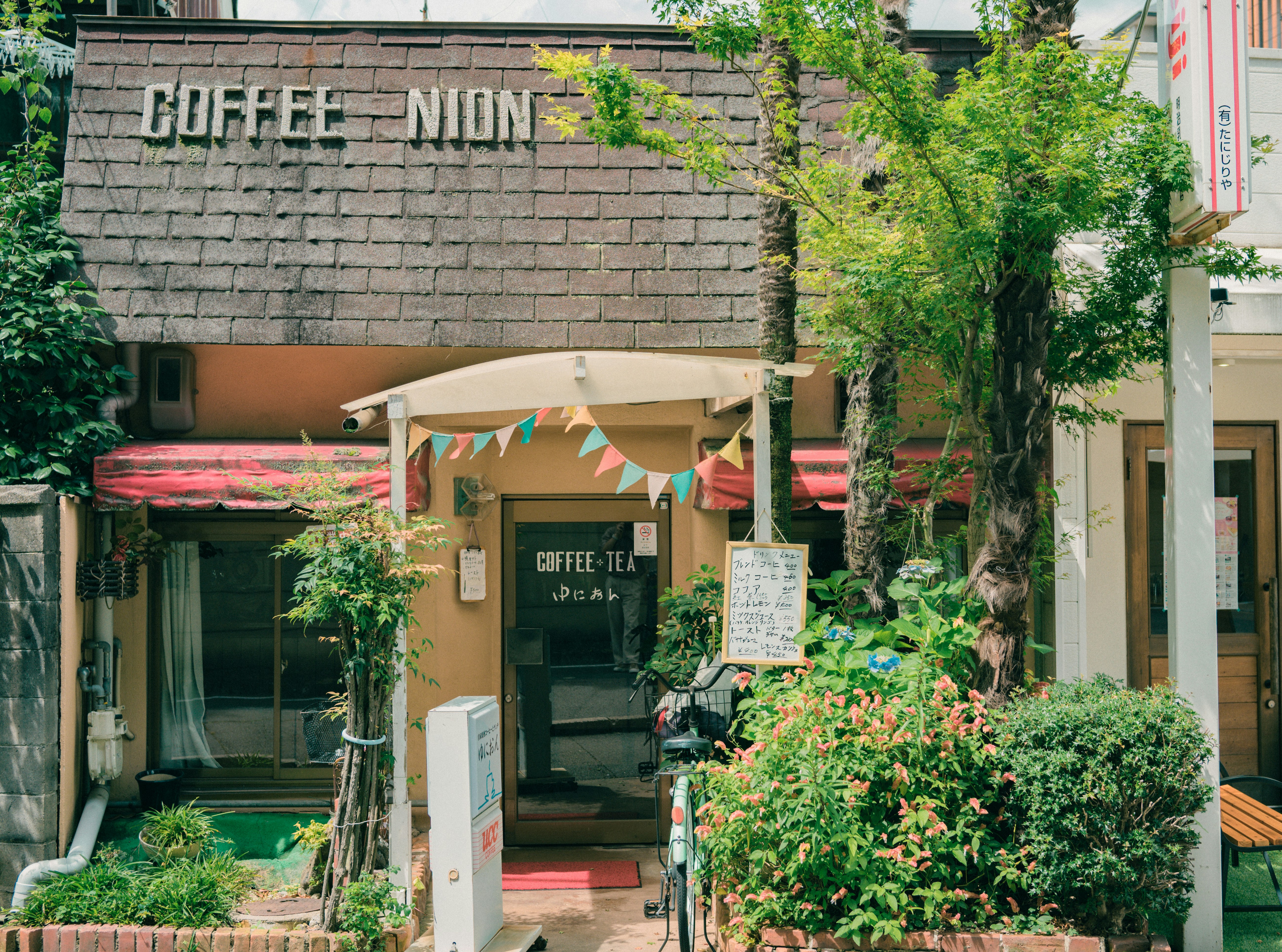 Mount Fuji forest café in Japan