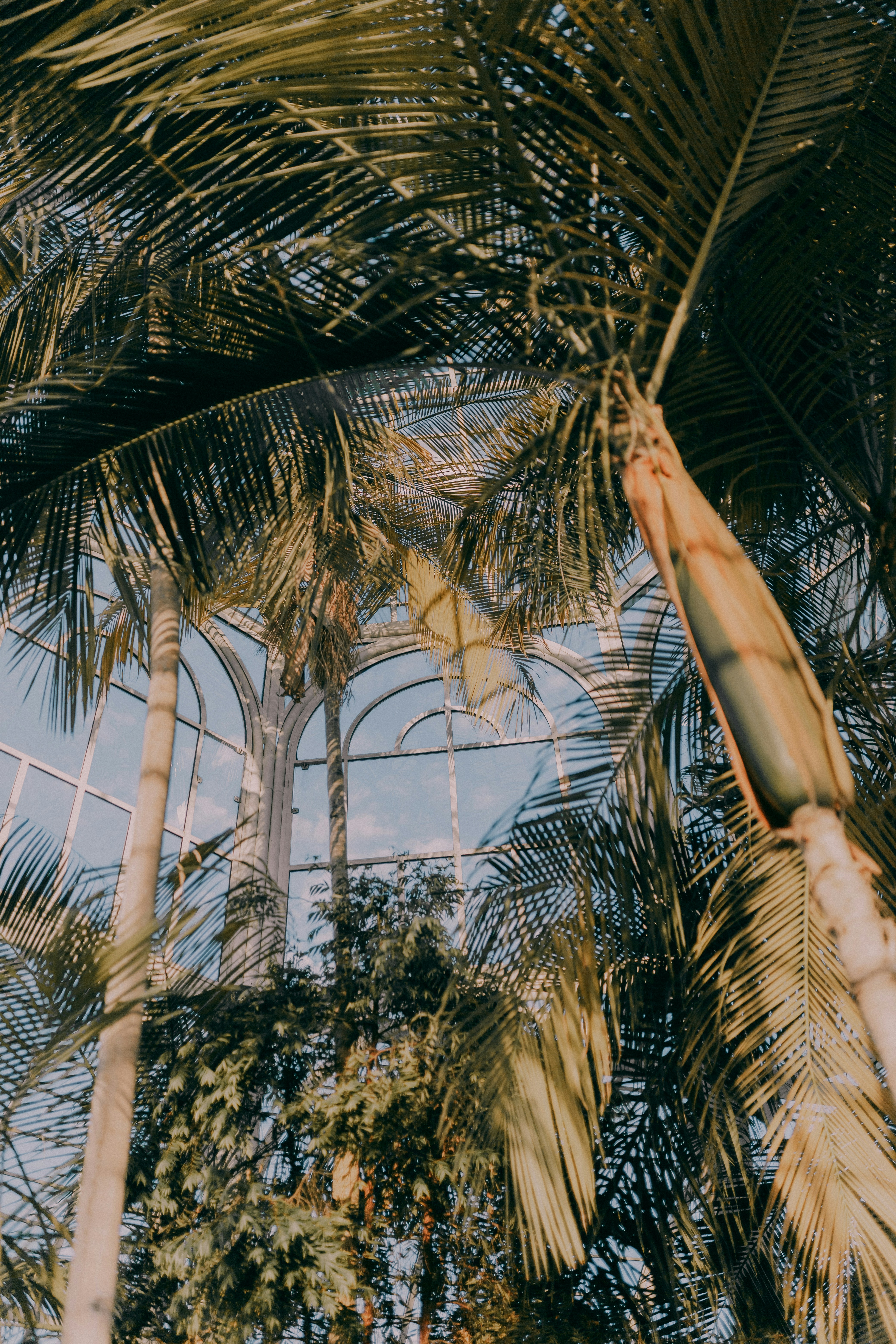 Photo by alexandermassph