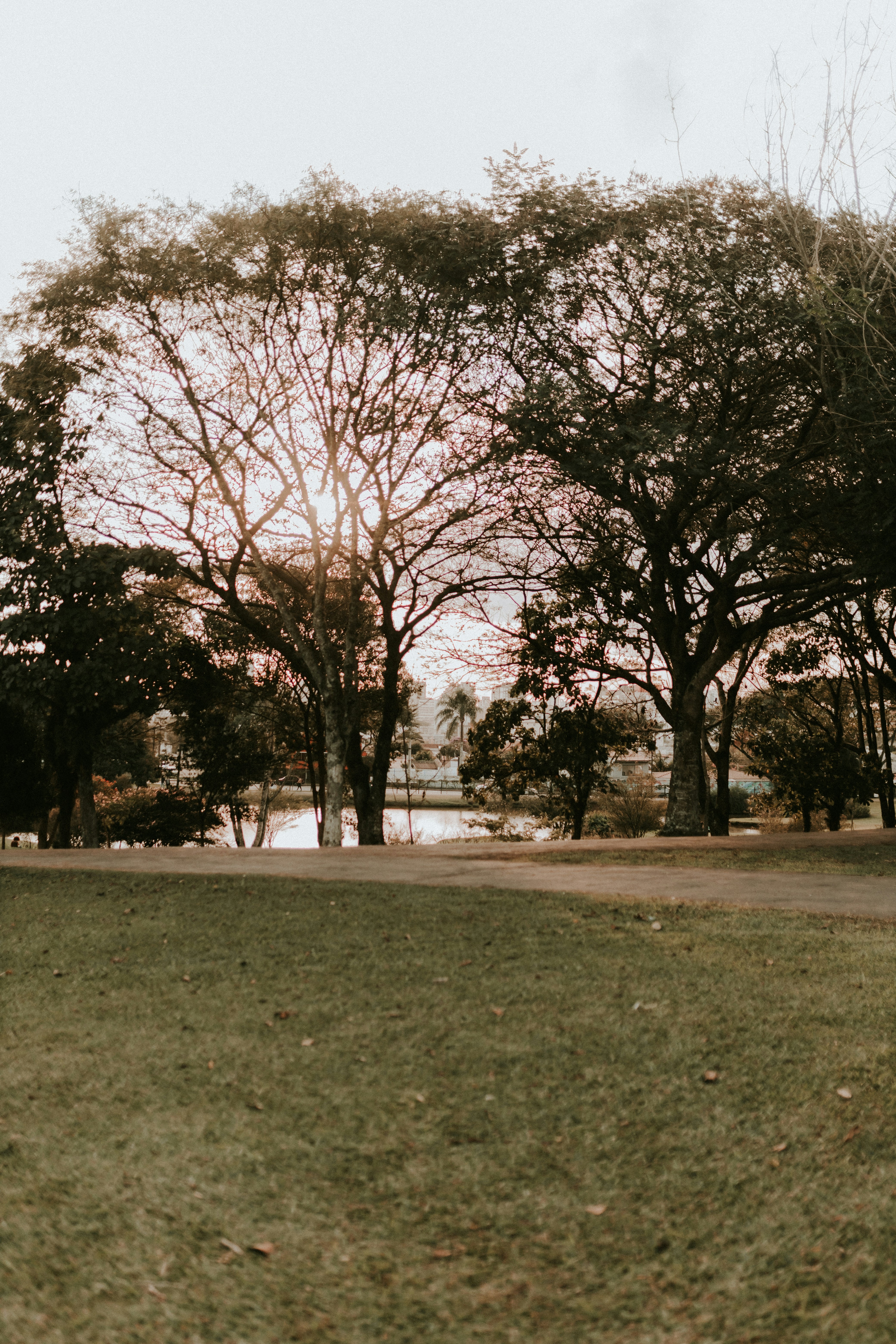 A man standing on top of a lush green field