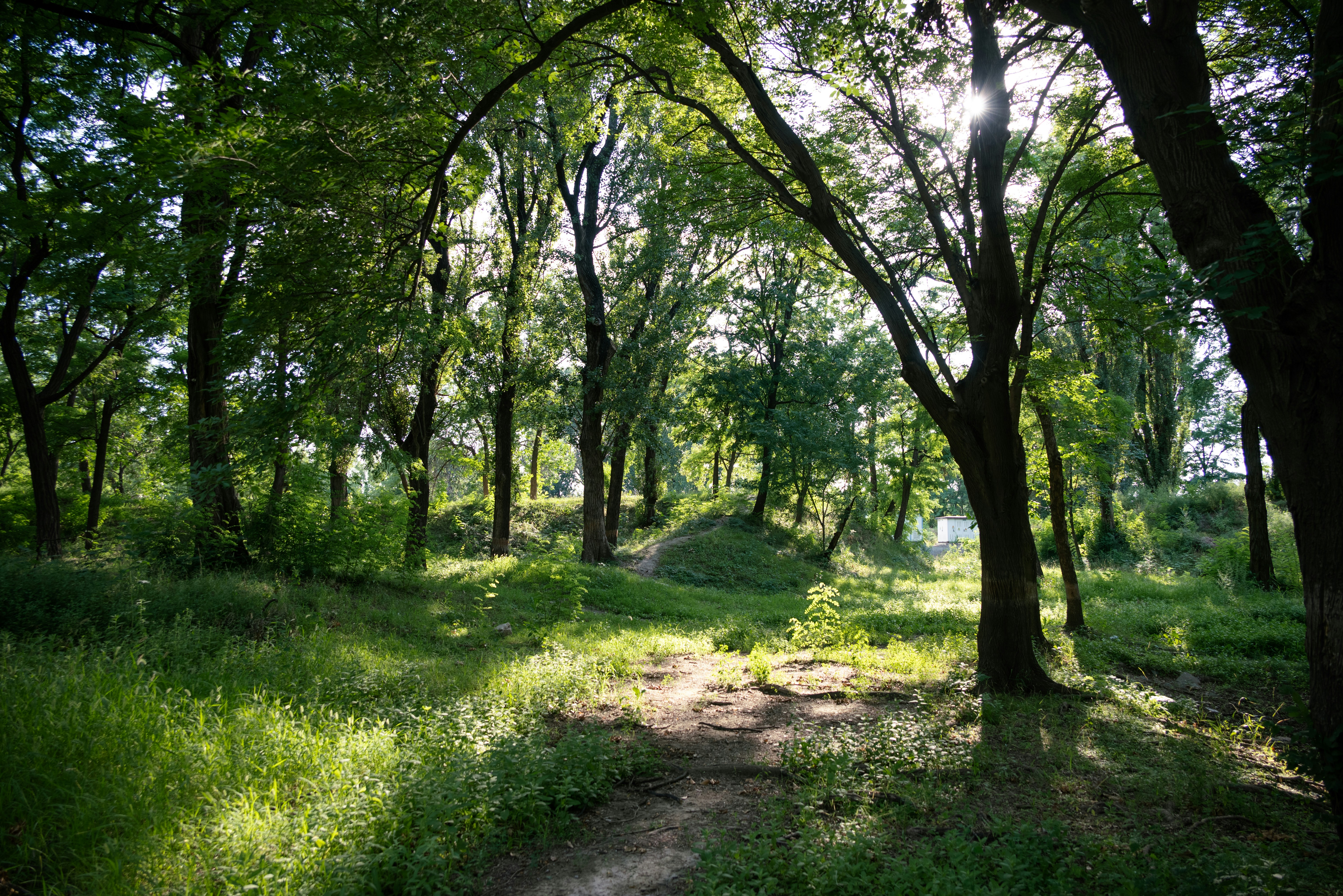 Photo by nikol_royce