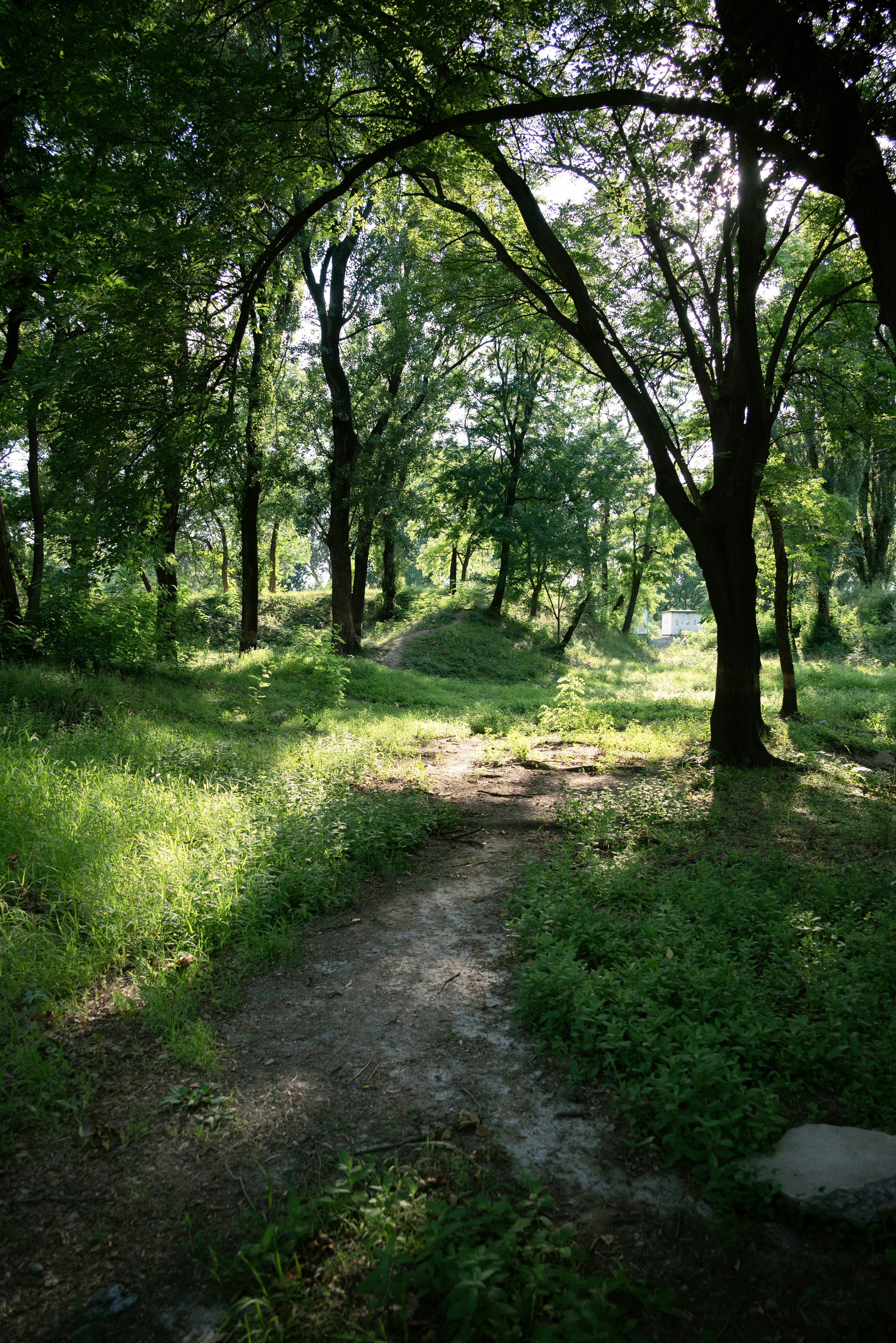 Photo by nikol_royce