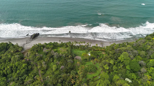Vue panoramique tropicale