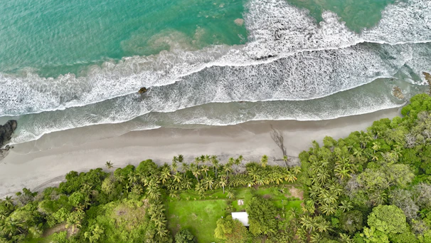 An aerial view of a beach and ocean