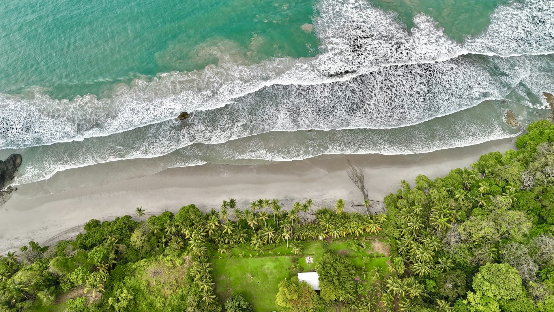An aerial view of a beach and ocean