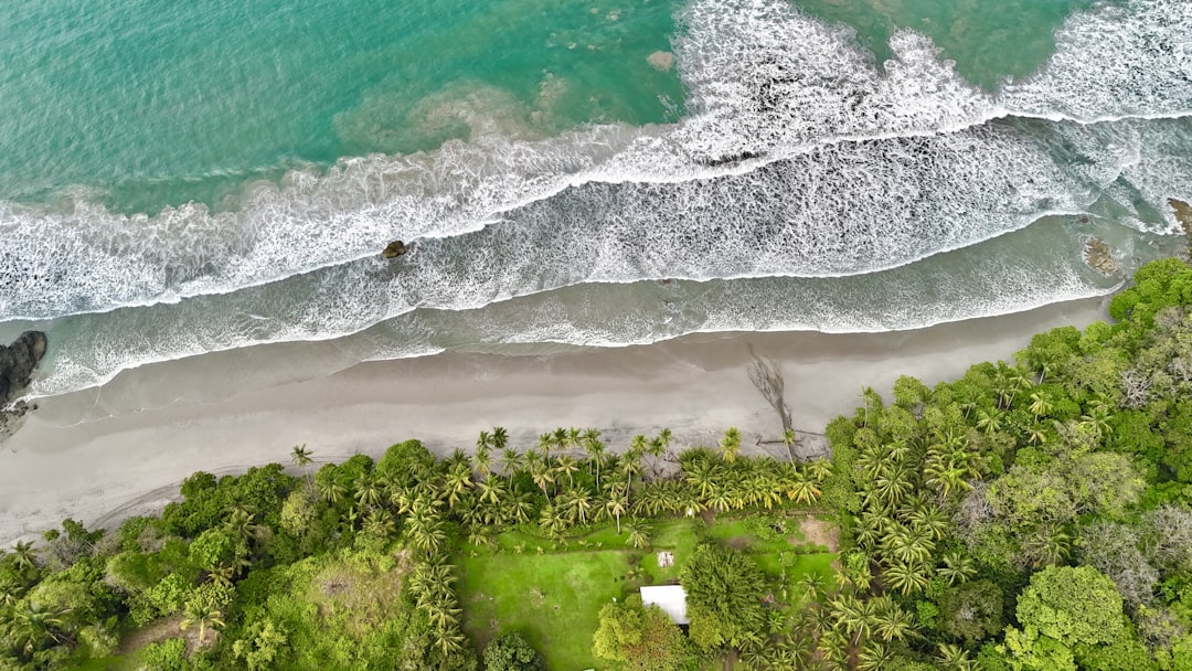 An aerial view of a beach and ocean,
