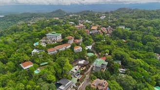An aerial view of a town surrounded by trees