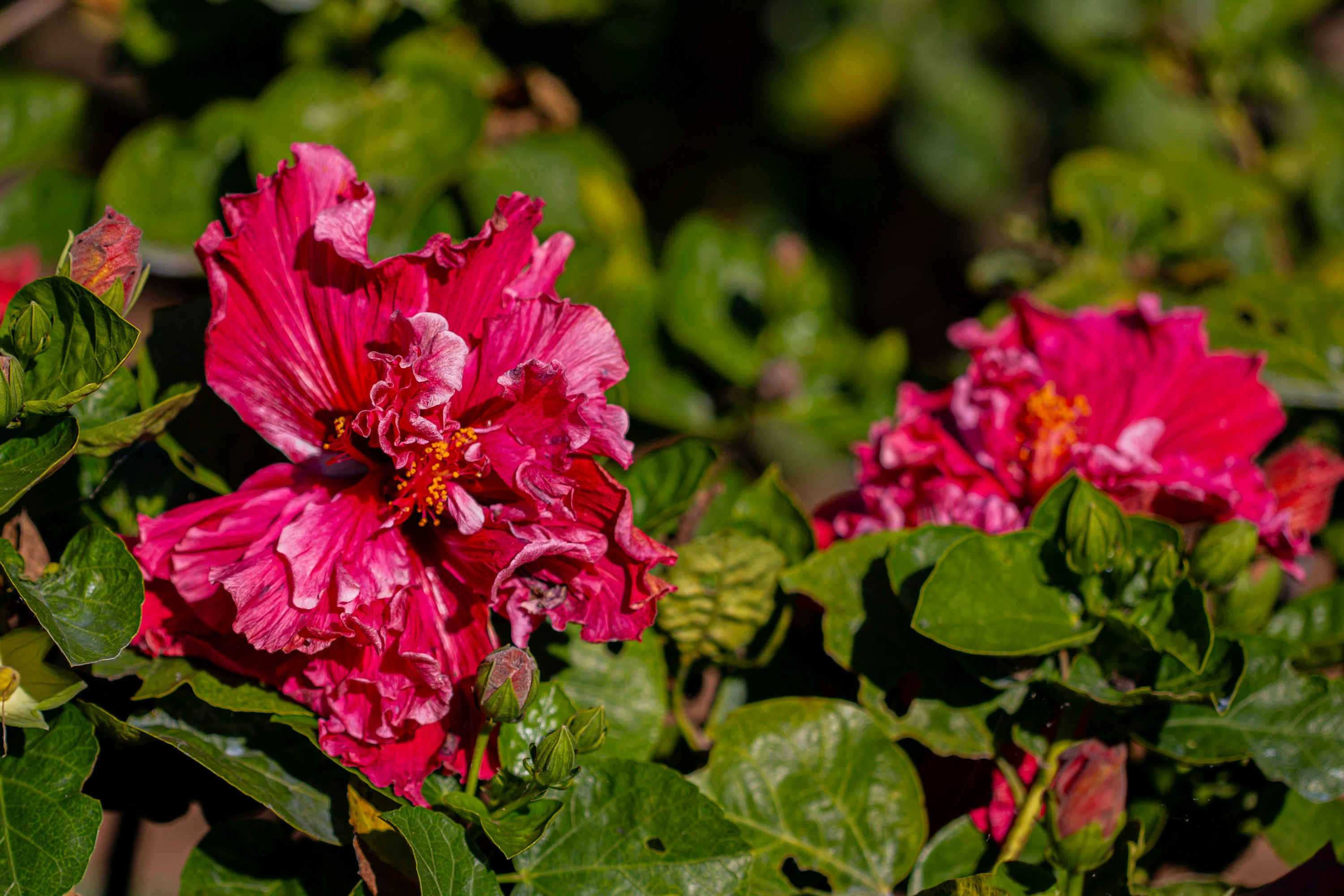 Photo by jazminbg_photography