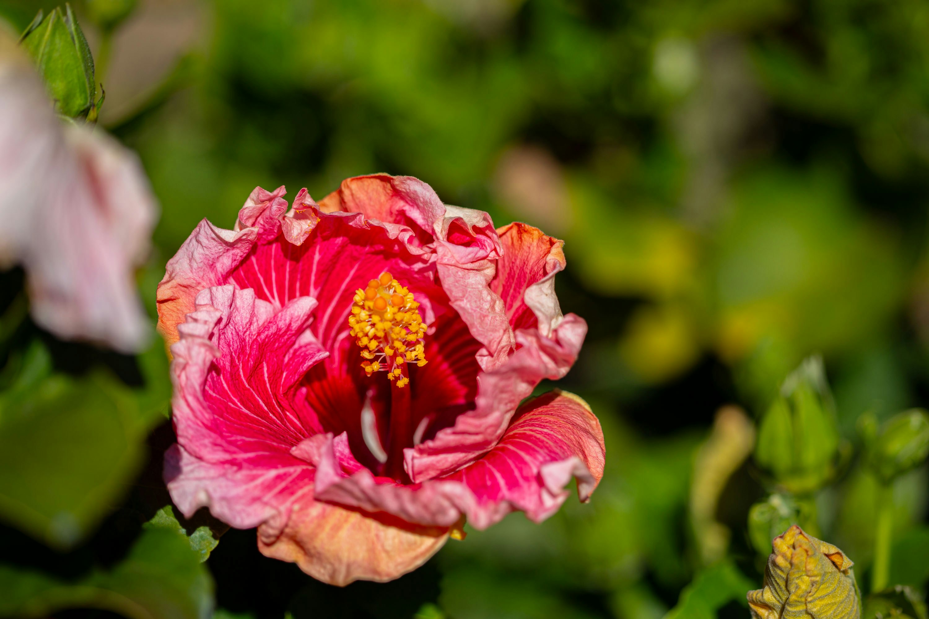 Photo by jazminbg_photography