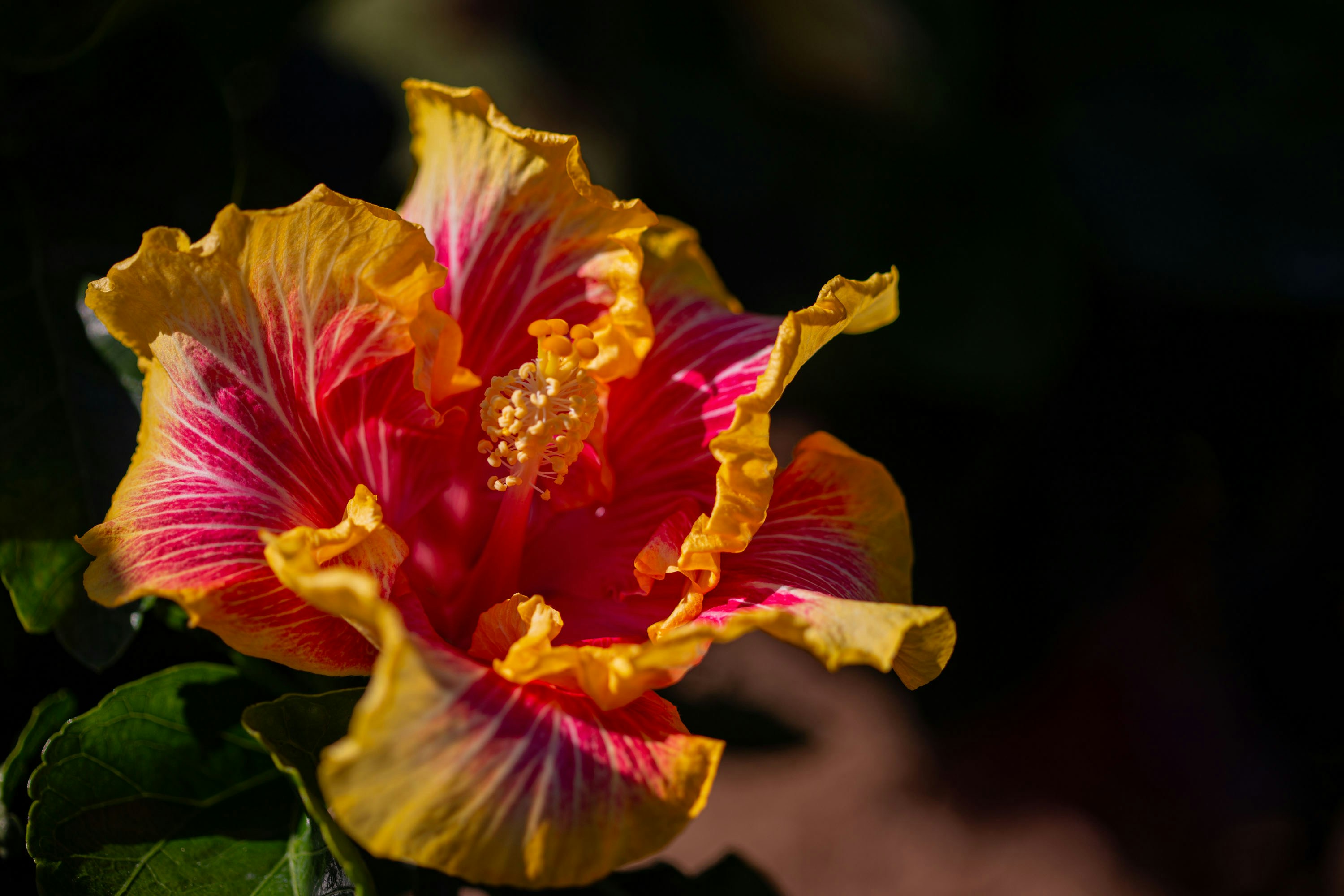 Photo by jazminbg_photography