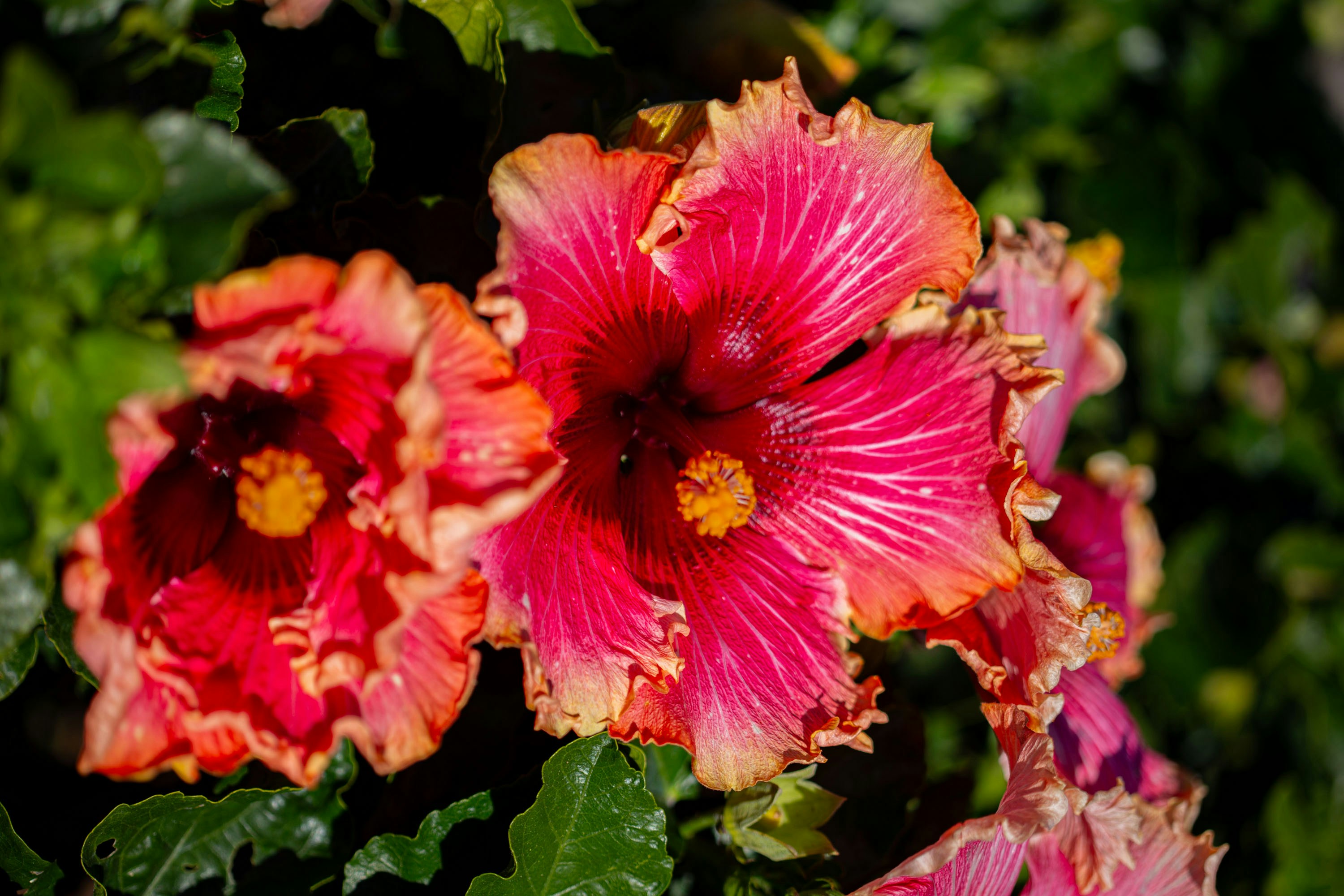 Photo by jazminbg_photography