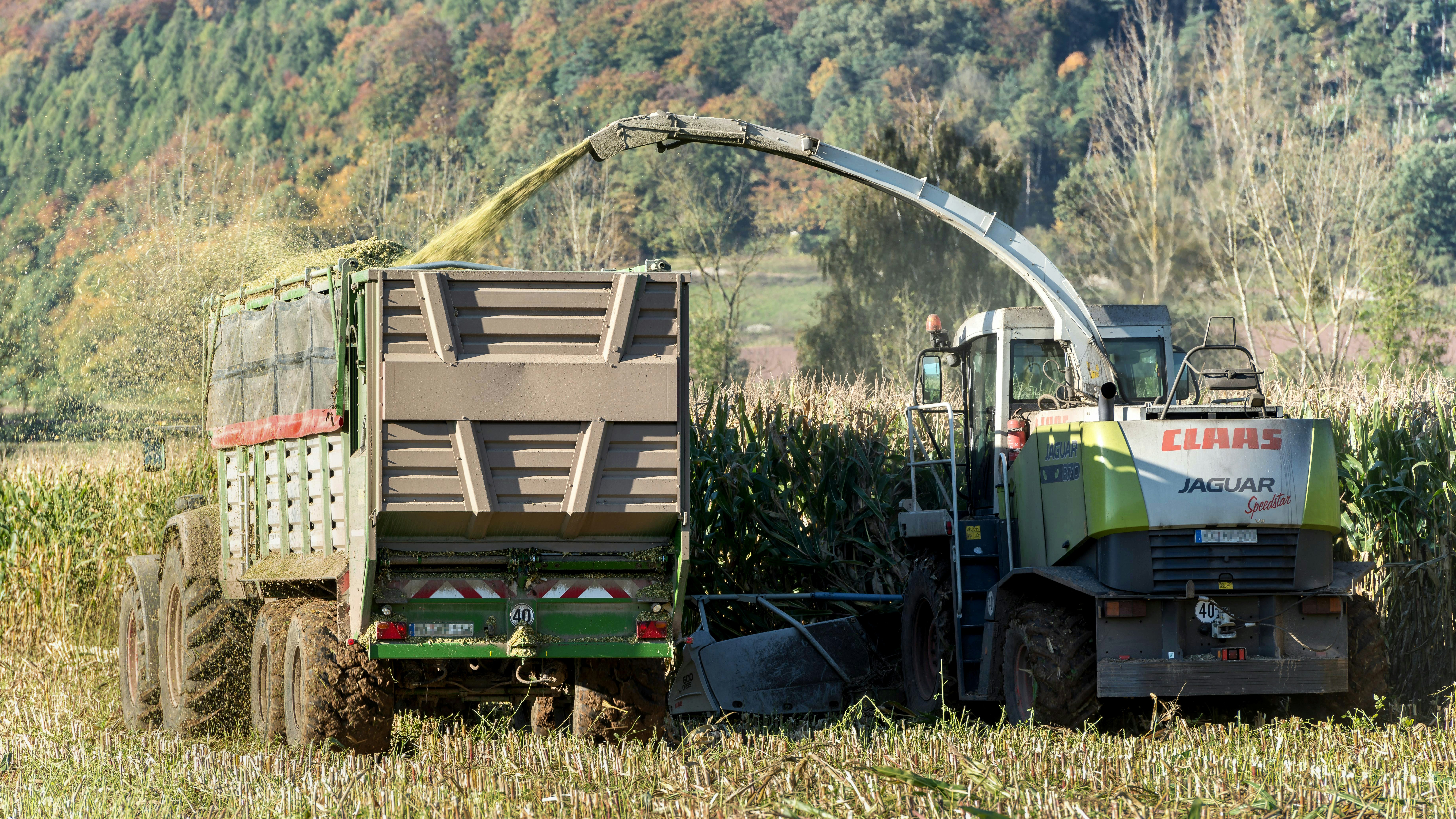 Efficient Hemp Supply Chain